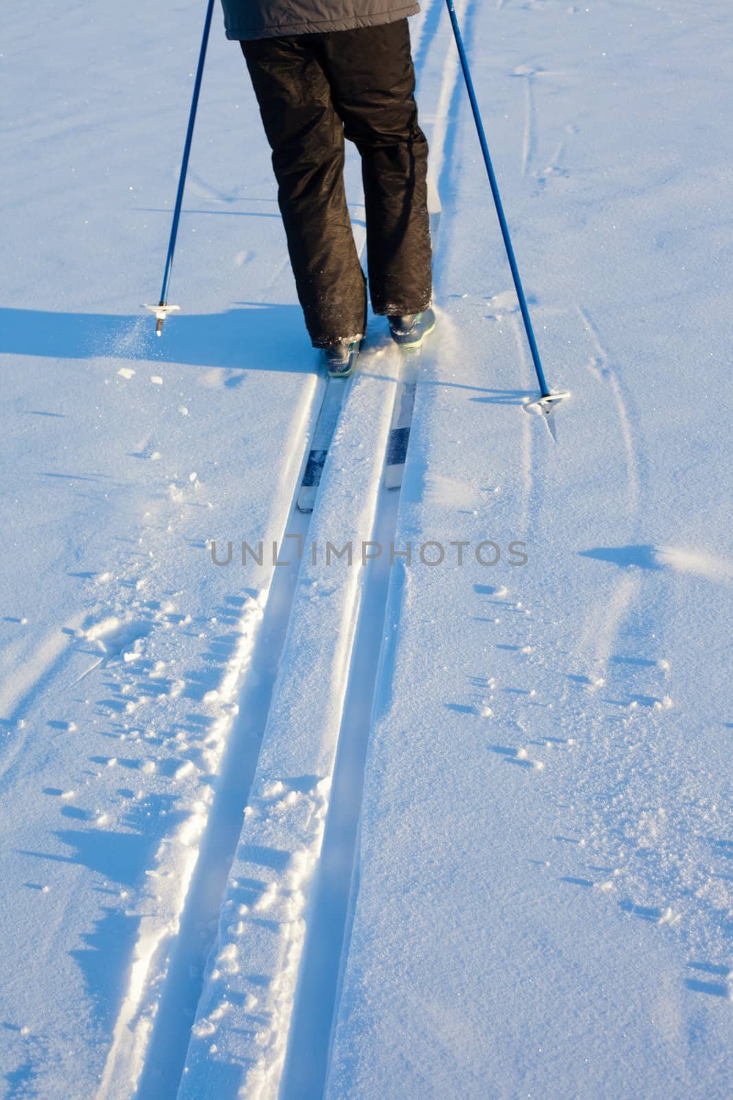 Beautiful cold winter day takes cross-country skiing person out having fun in ski tracks.