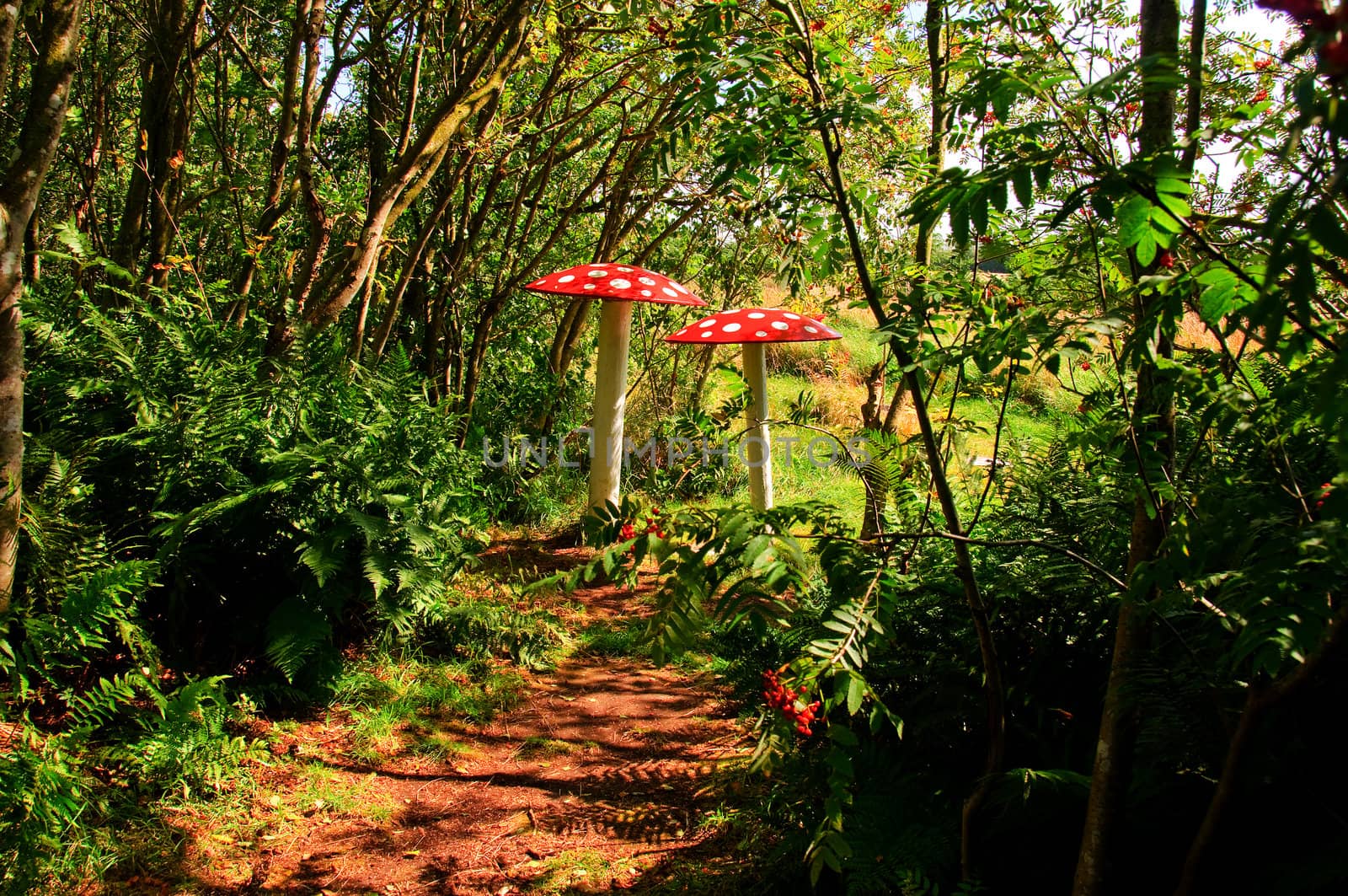 Fly agaric as decor in a fairy forest