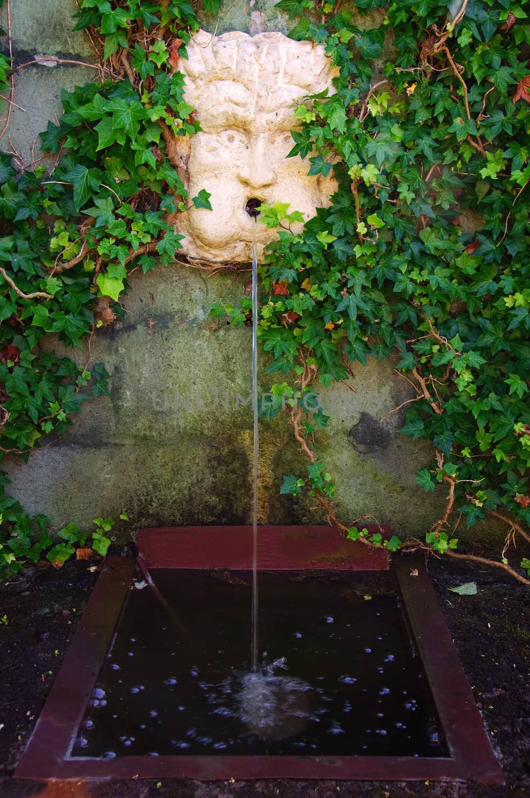A garden fontain with face