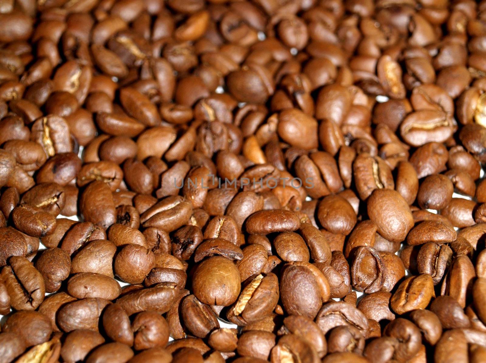 many coffee beans