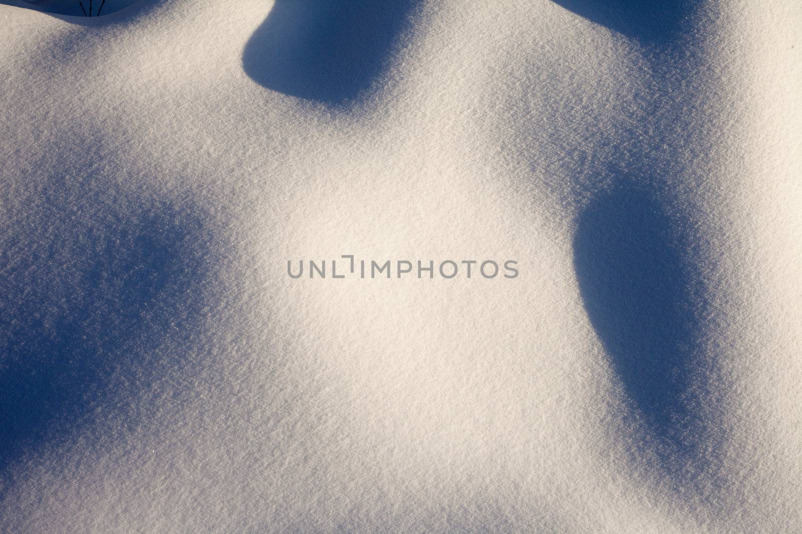 Shadows on curved surface of freshly fallen snow.