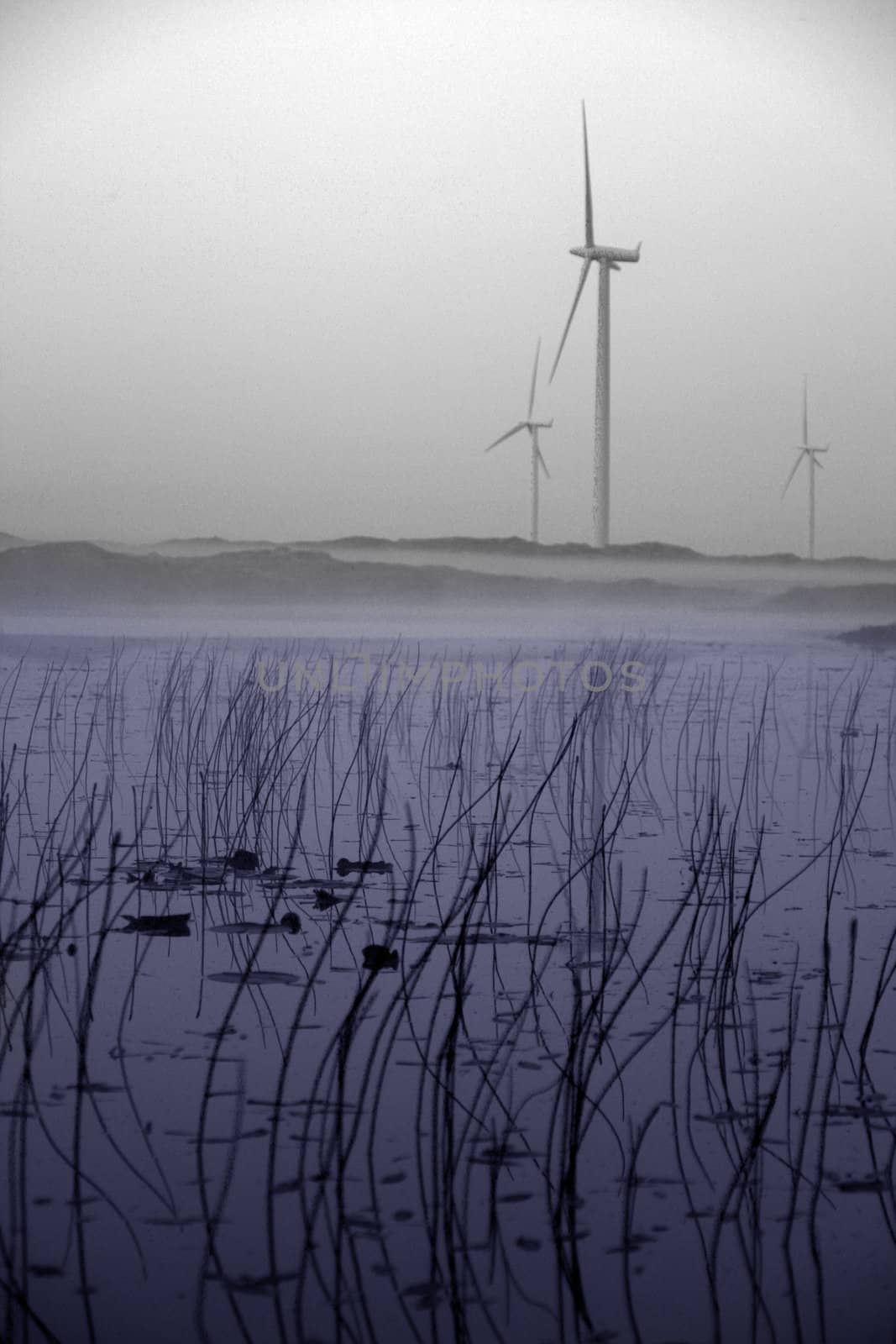 Smøla Wind Farm  by matys07