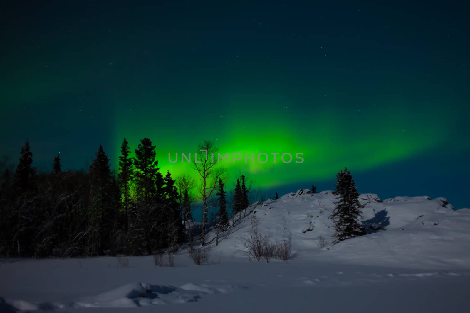 Northern Lights (Aurora borealis) over moon lit snowscape.