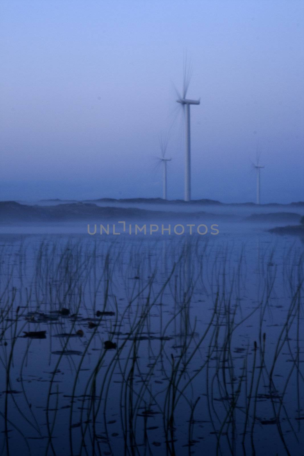 Night in the Wind Farm