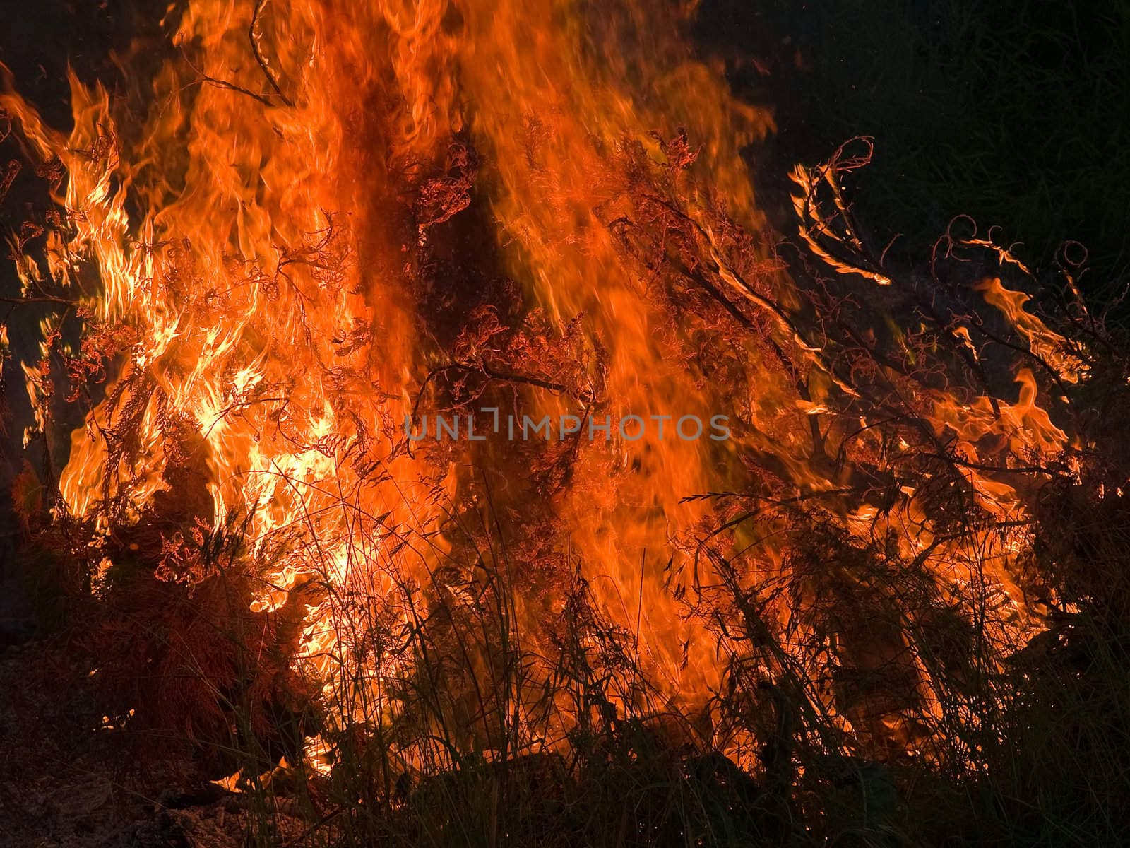 Close details of burning flame fire inferno