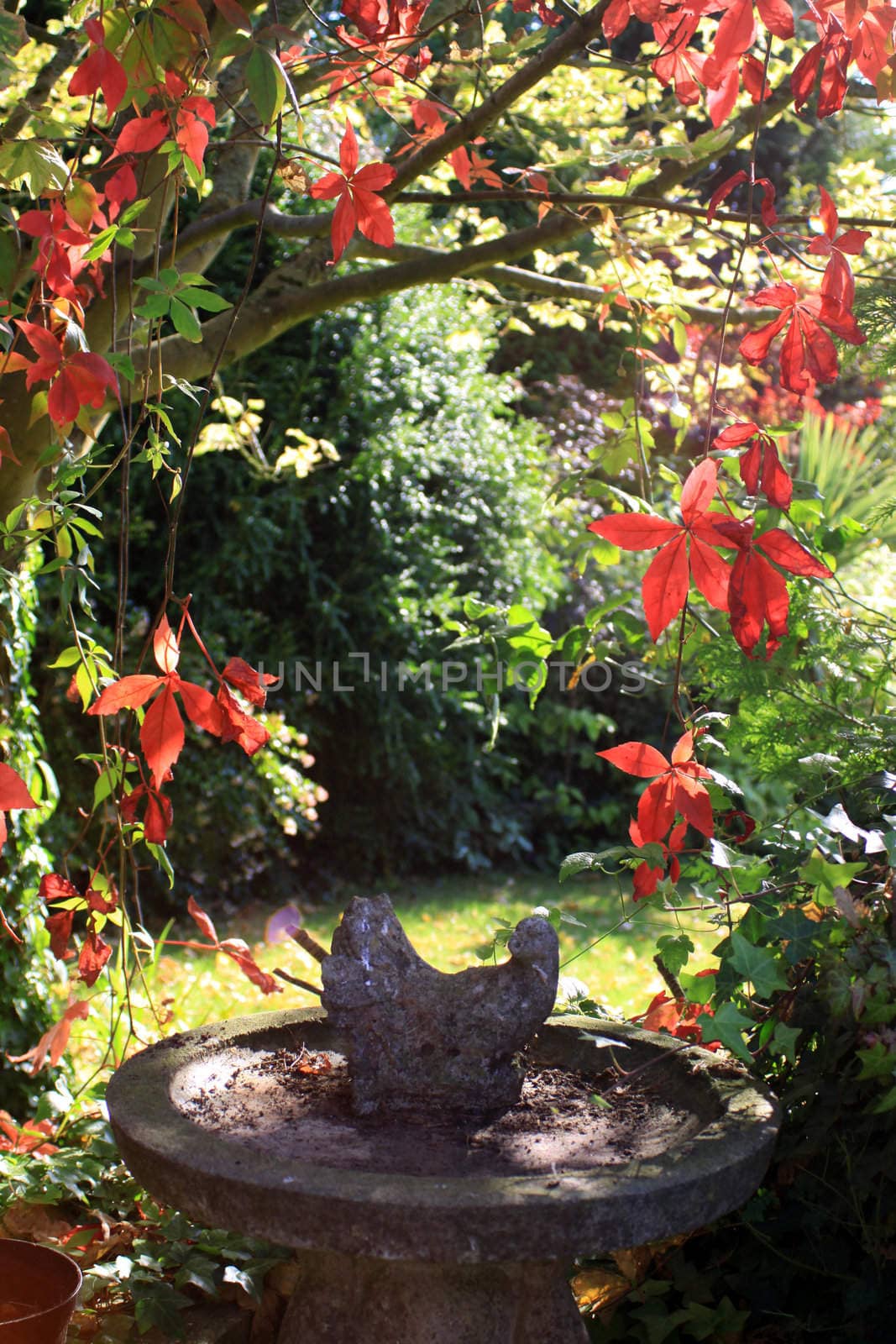 A stone constructed ornamental bird bath in an urban garden setting with red coloured autumnal leaves surrounding, against a soft focus background.