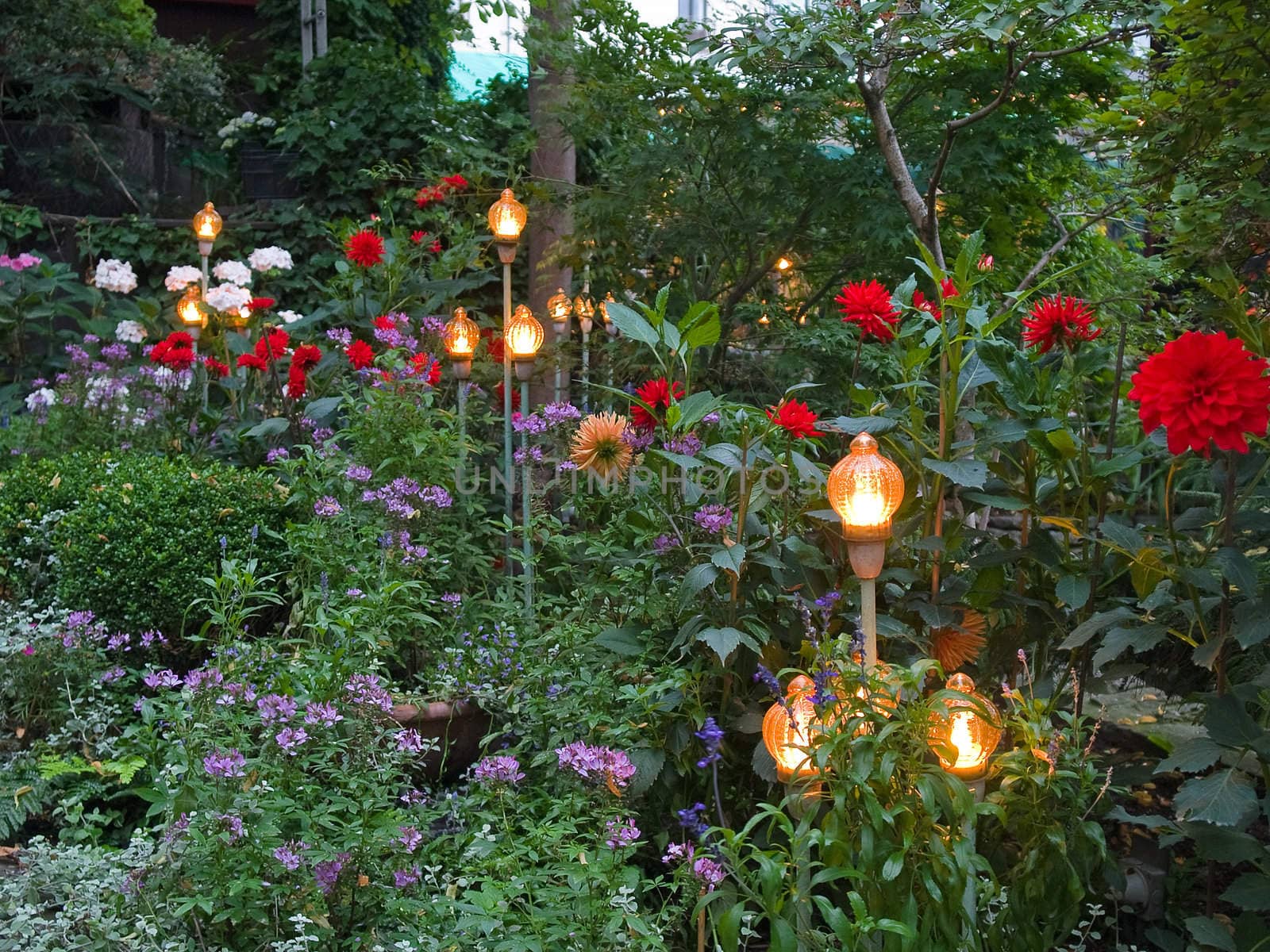 Beautiful colorful blooming garden with illuminated lamps