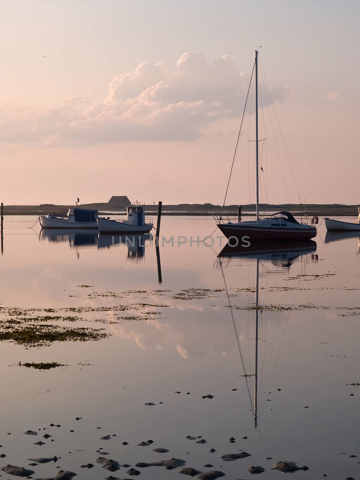 Sail boats reflected in the ocean by Ronyzmbow