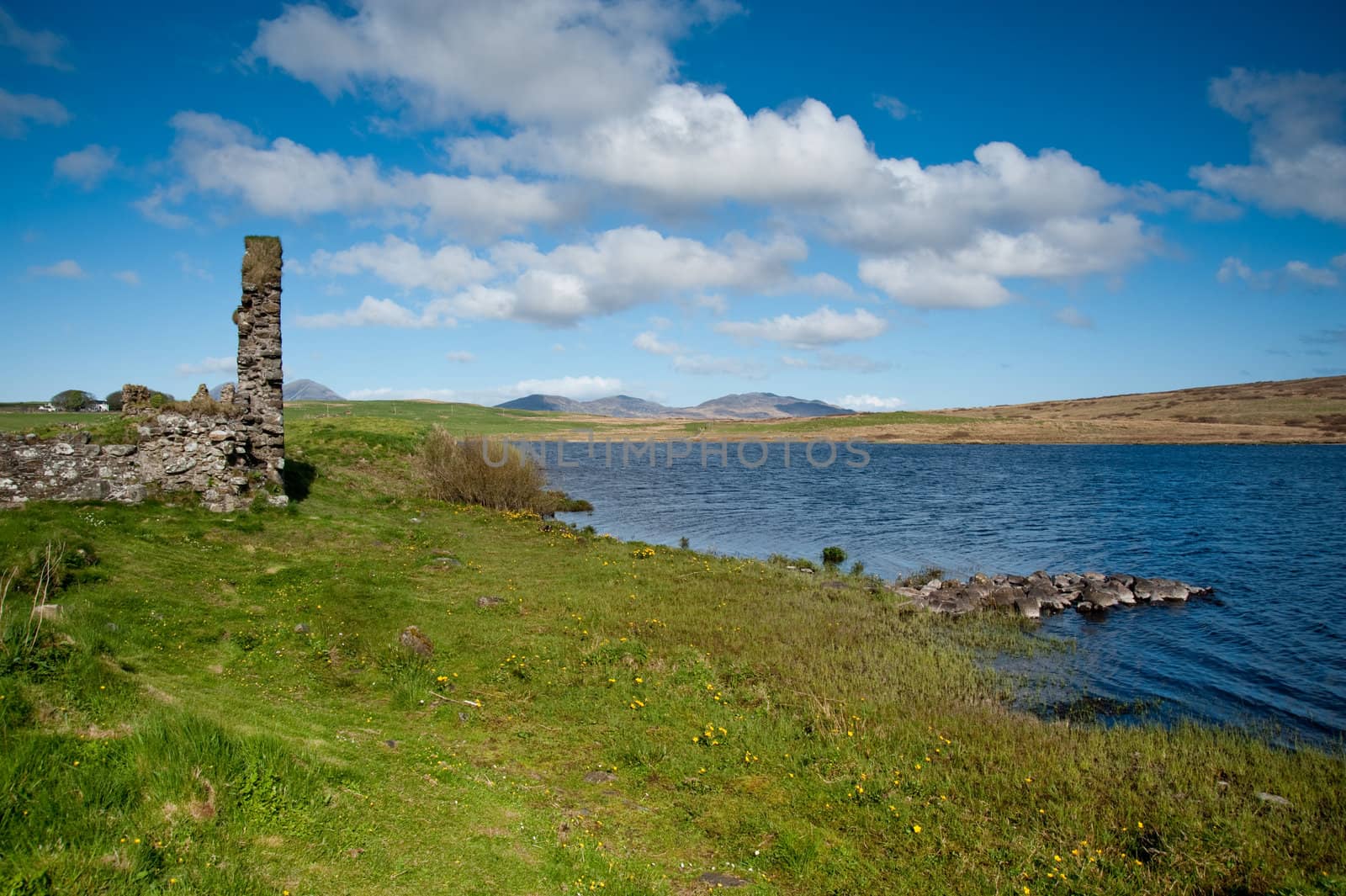 Eilean Mor Loch Finlaggan, seat of the Lord of the Isles