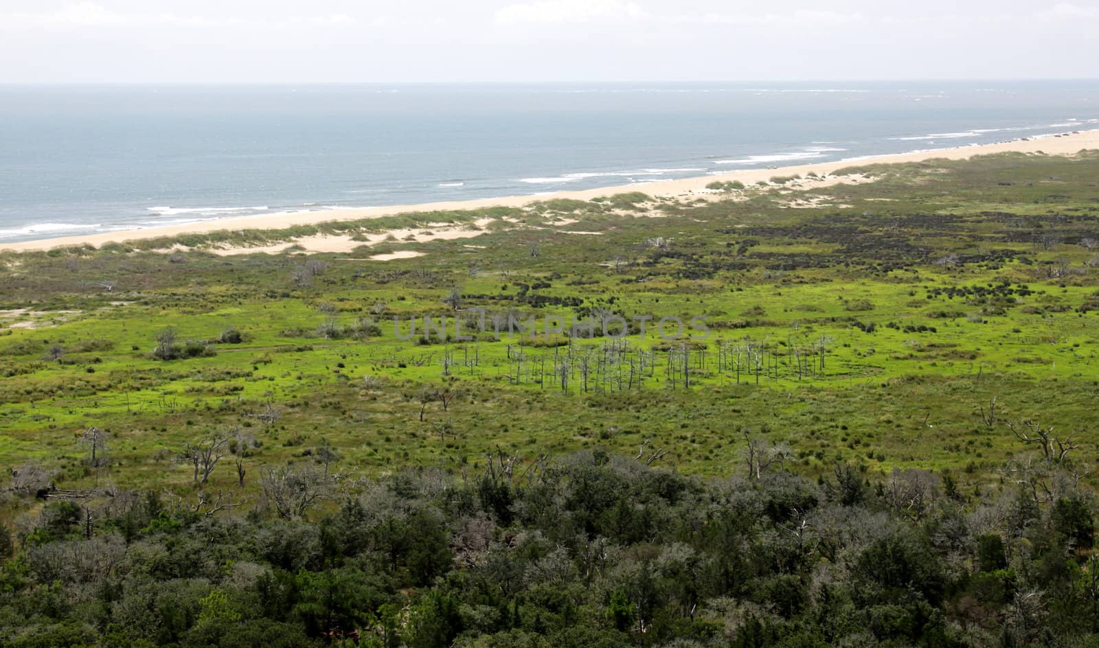 Outer Banks Coastline by ca2hill