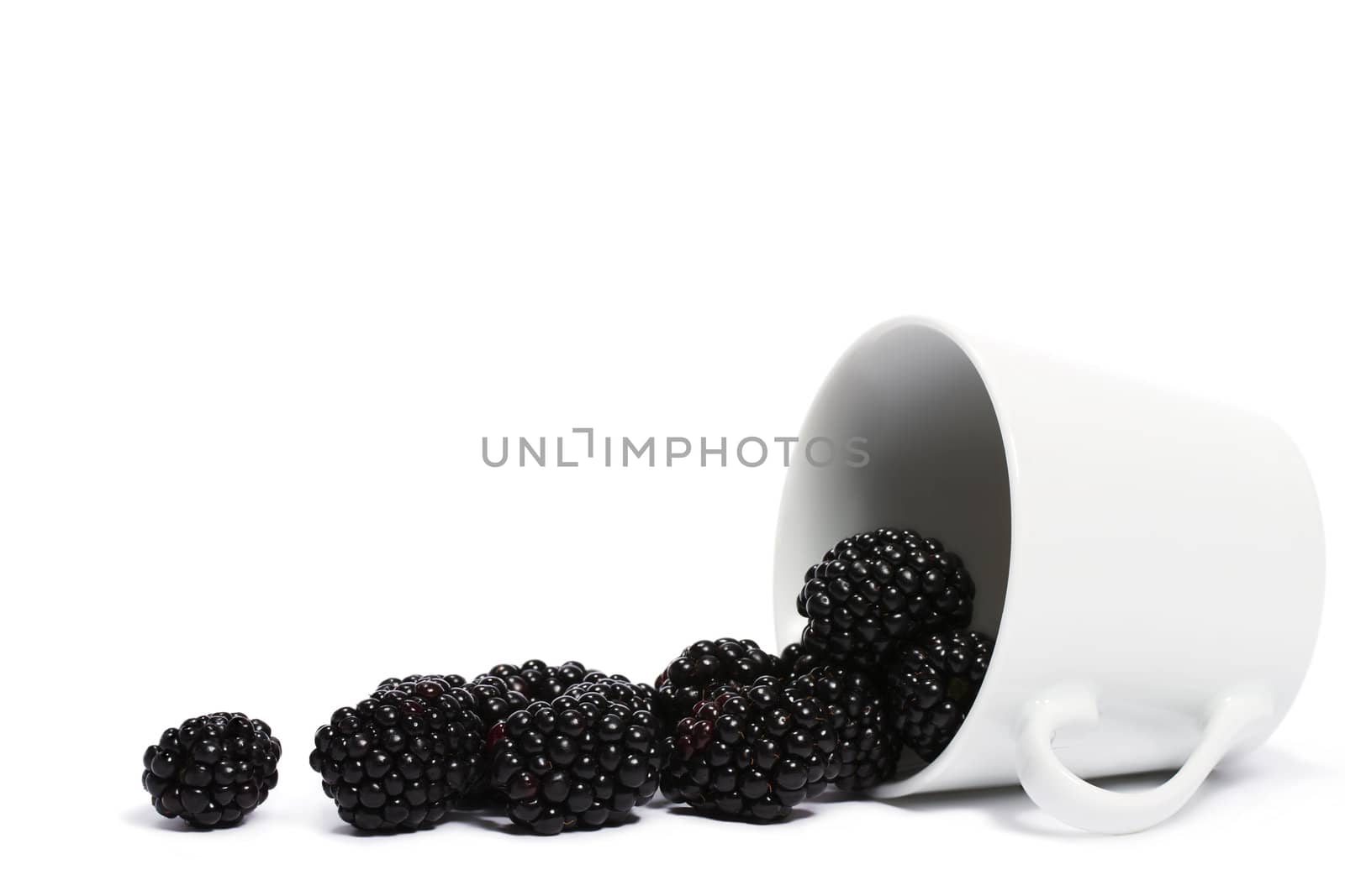 blackberries rolling from a fell over cup on white background
