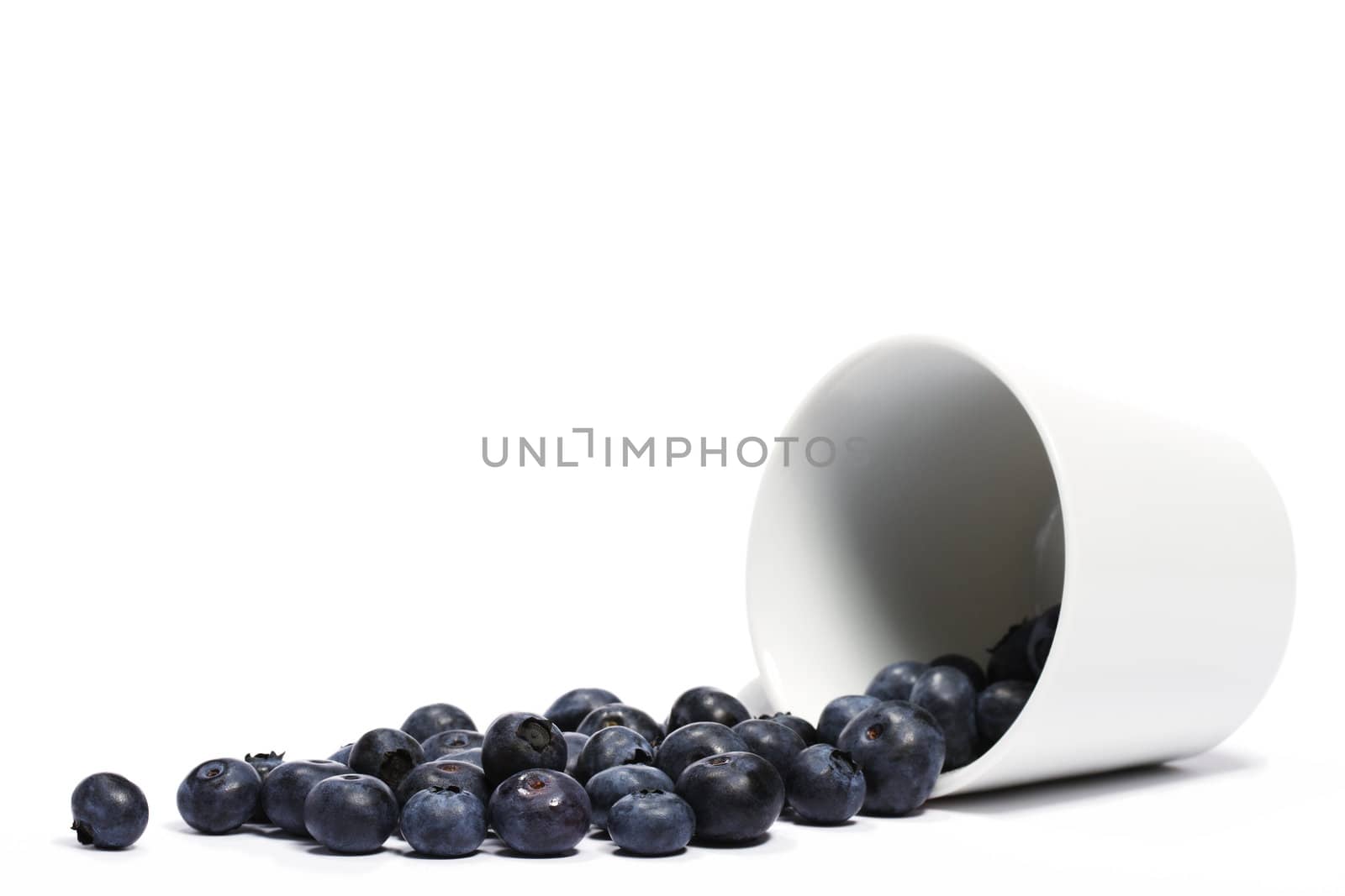 blueberries rolling from a fell over cup on white background