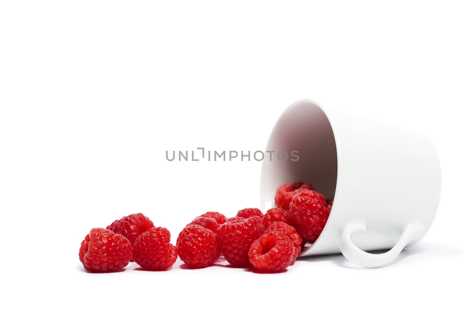 raspberries rolling from a fell over cup on white background