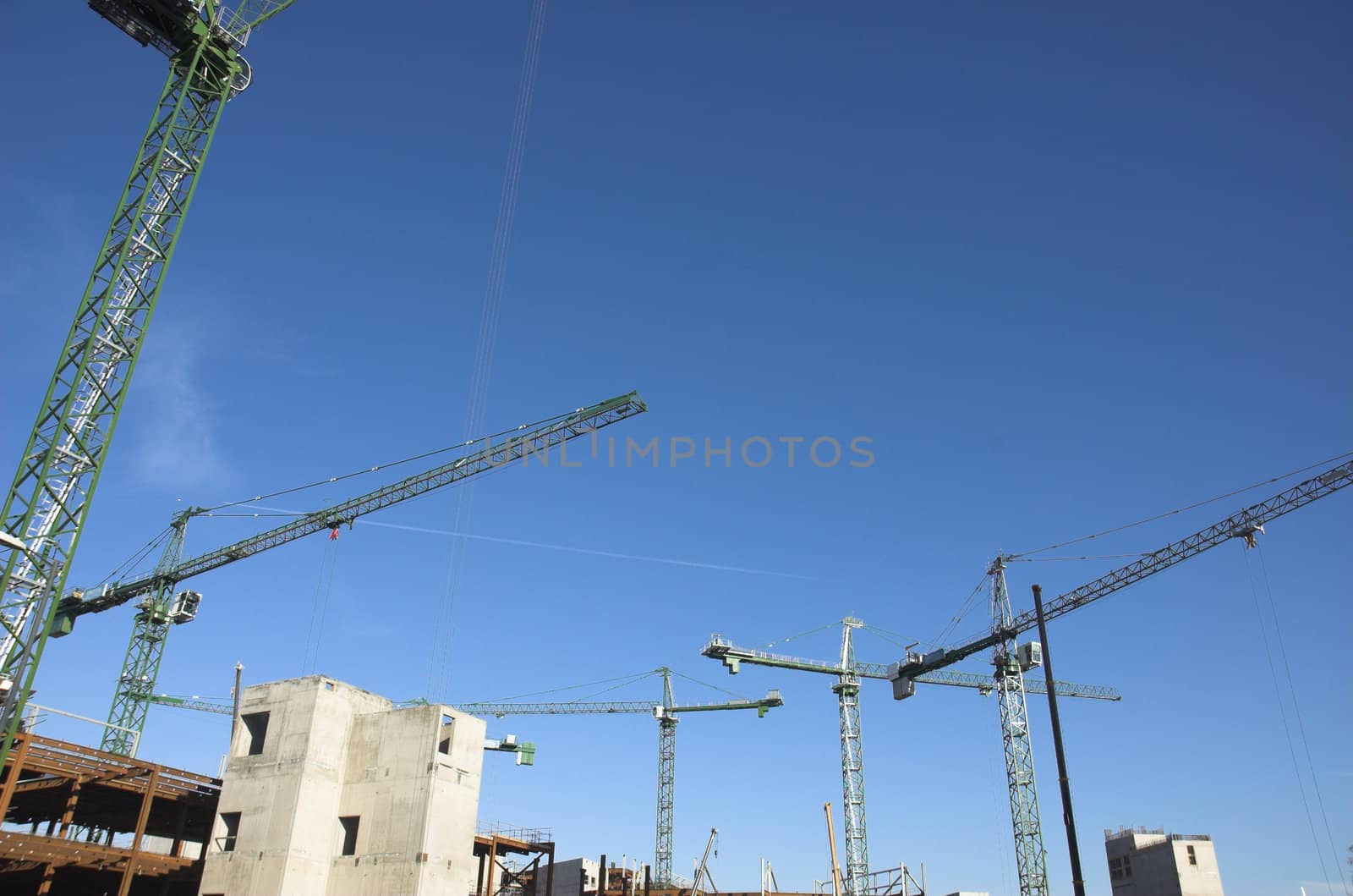 Large scale construction site with construction cranes filling the sky.