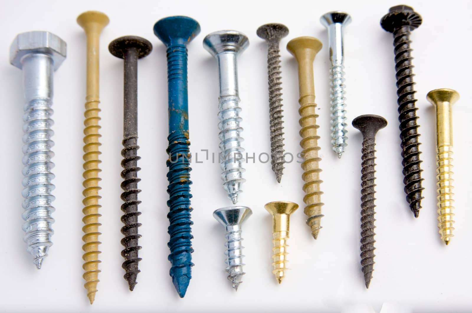 A collection of assorted screws