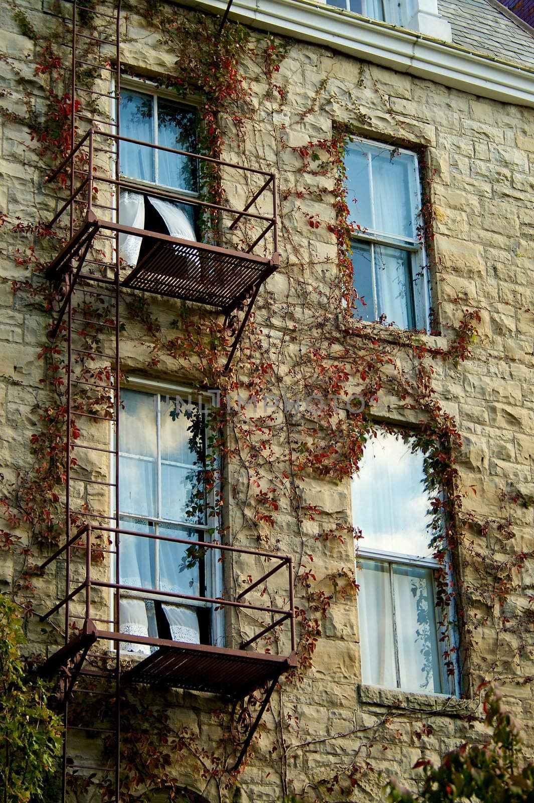 A rust colored fire escape over windows with billowing curtains, in a style resembling an oil painting.