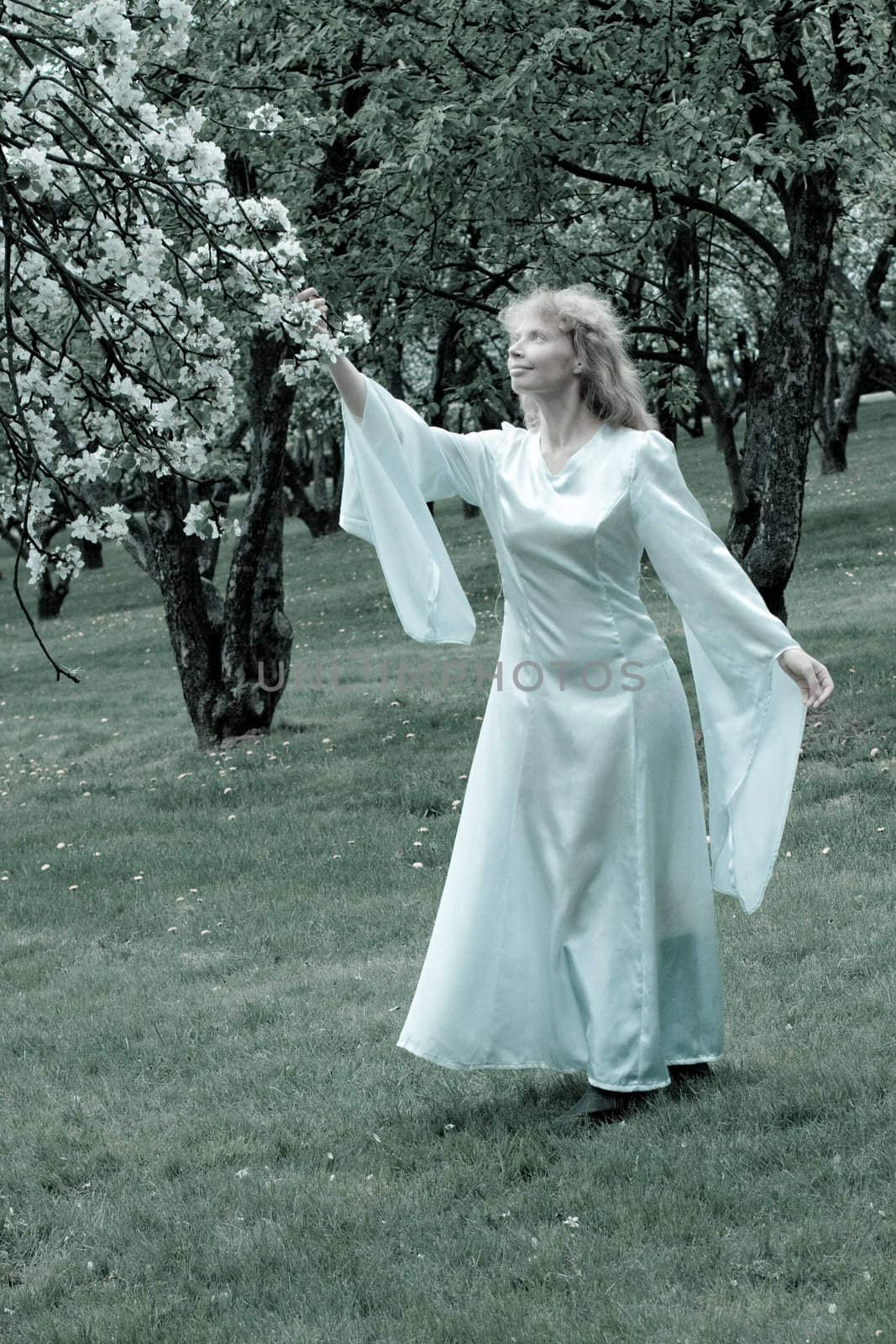 Tne blonde girl in white dress and apple-tree with white flowers
