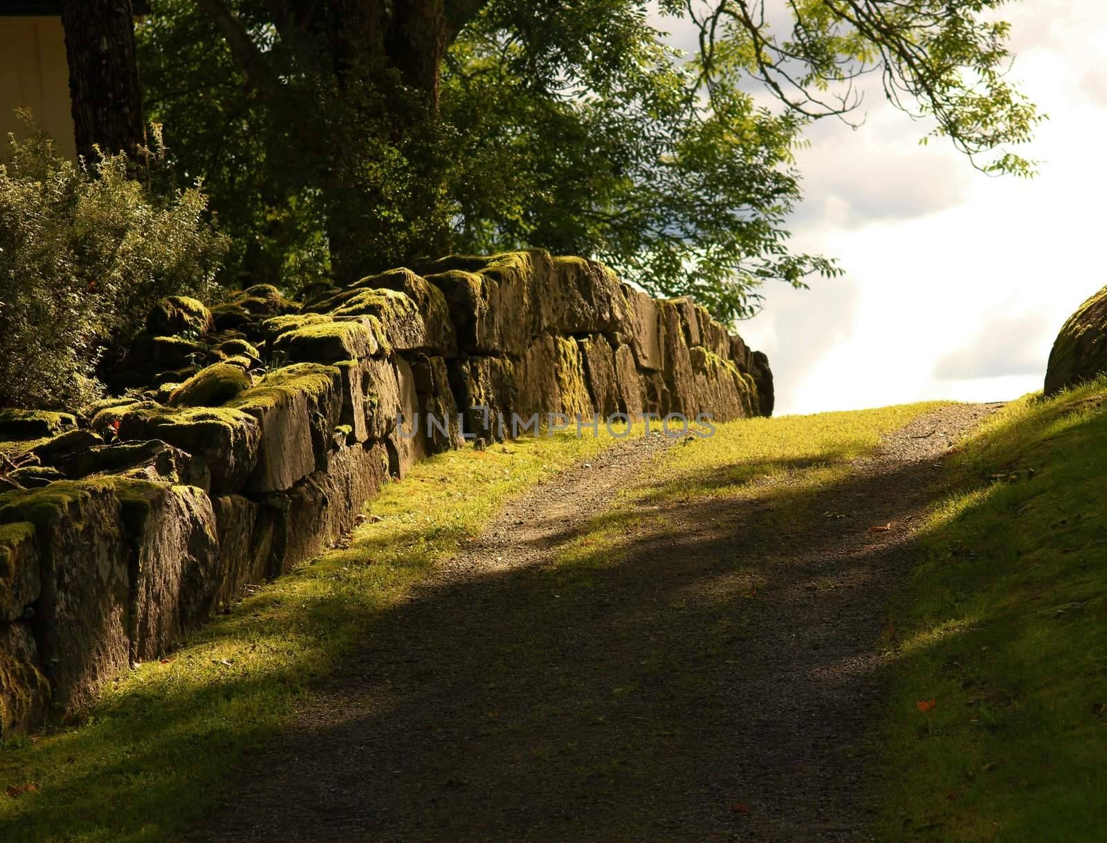 Old road with mossy wall