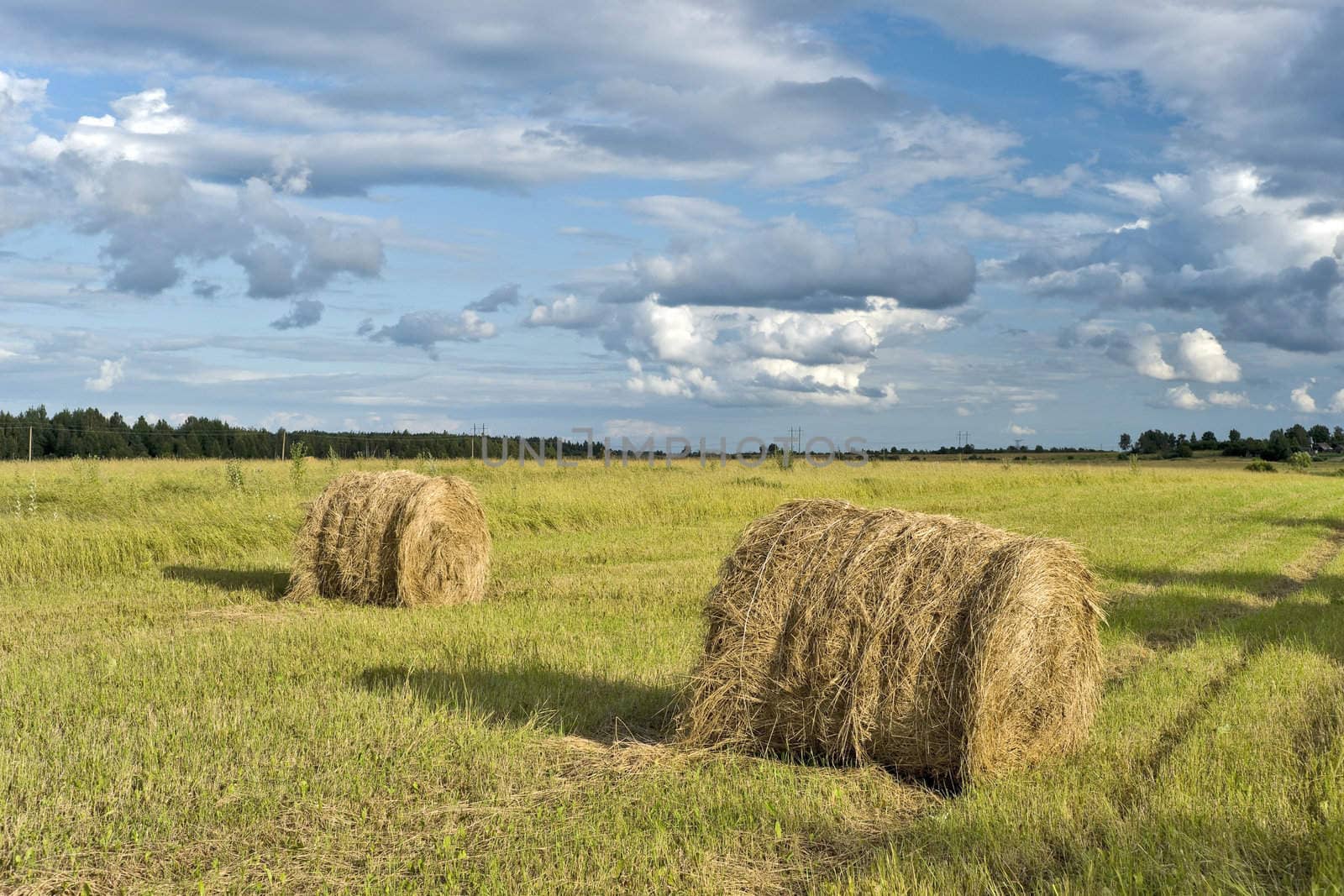 Haystacks  by mulden