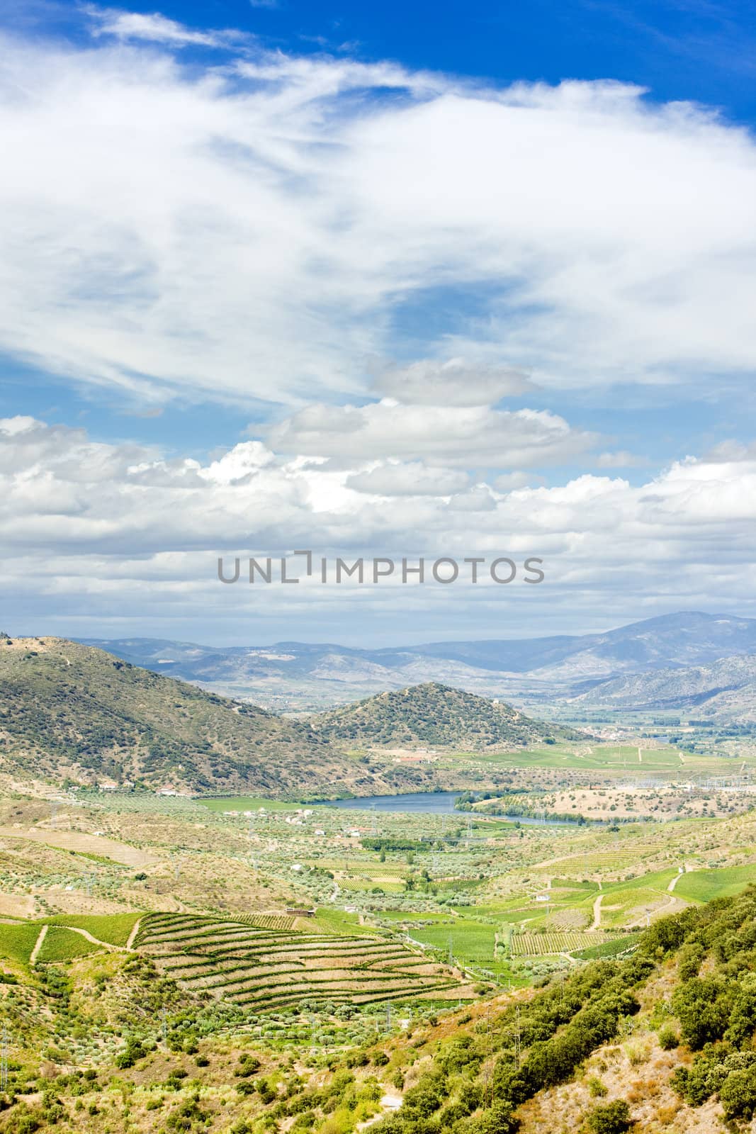 Douro Valley, Portugal
