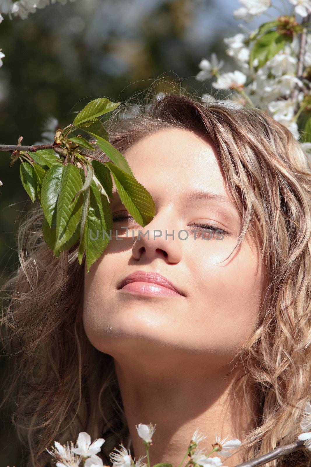 Beautiful blond woman between cherry tree with white flowers - portrait