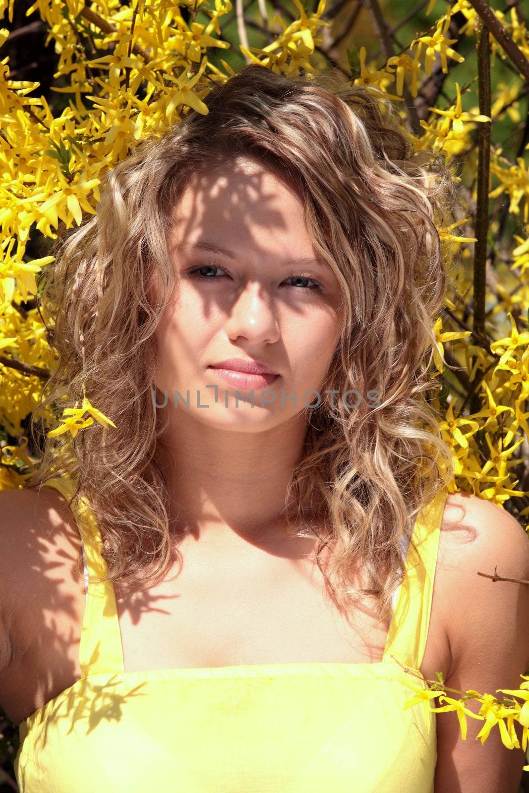 Blond young woman in yellow forsythia flowers - portrait