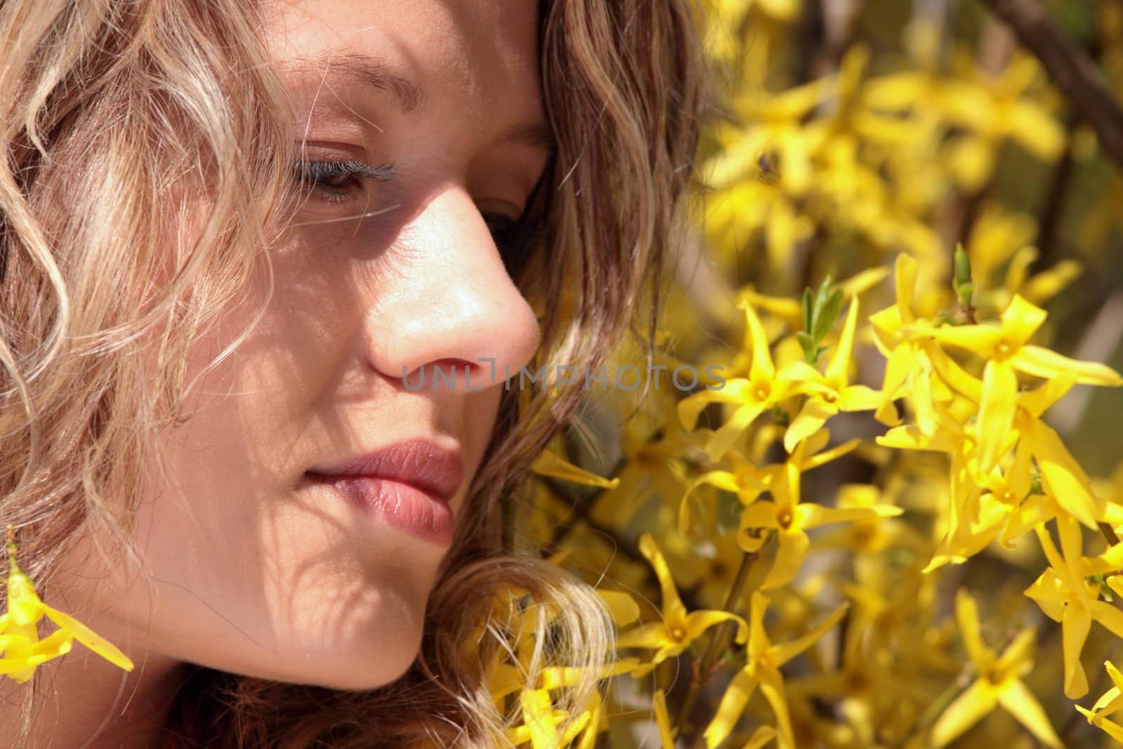 Blond young woman in yellow forsythia flowers by BDS