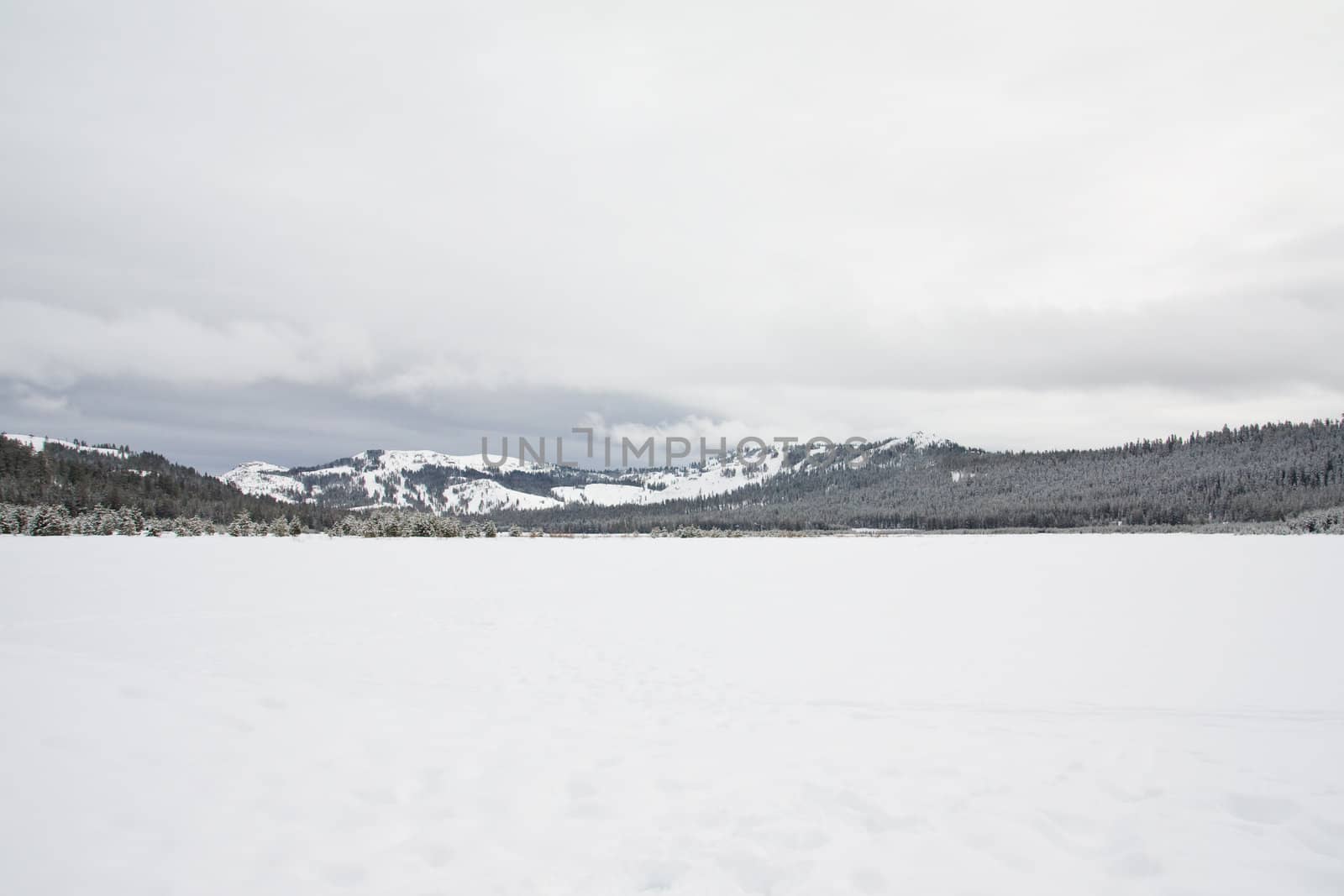 Snowy winter landscape at Lake Tahoe, California