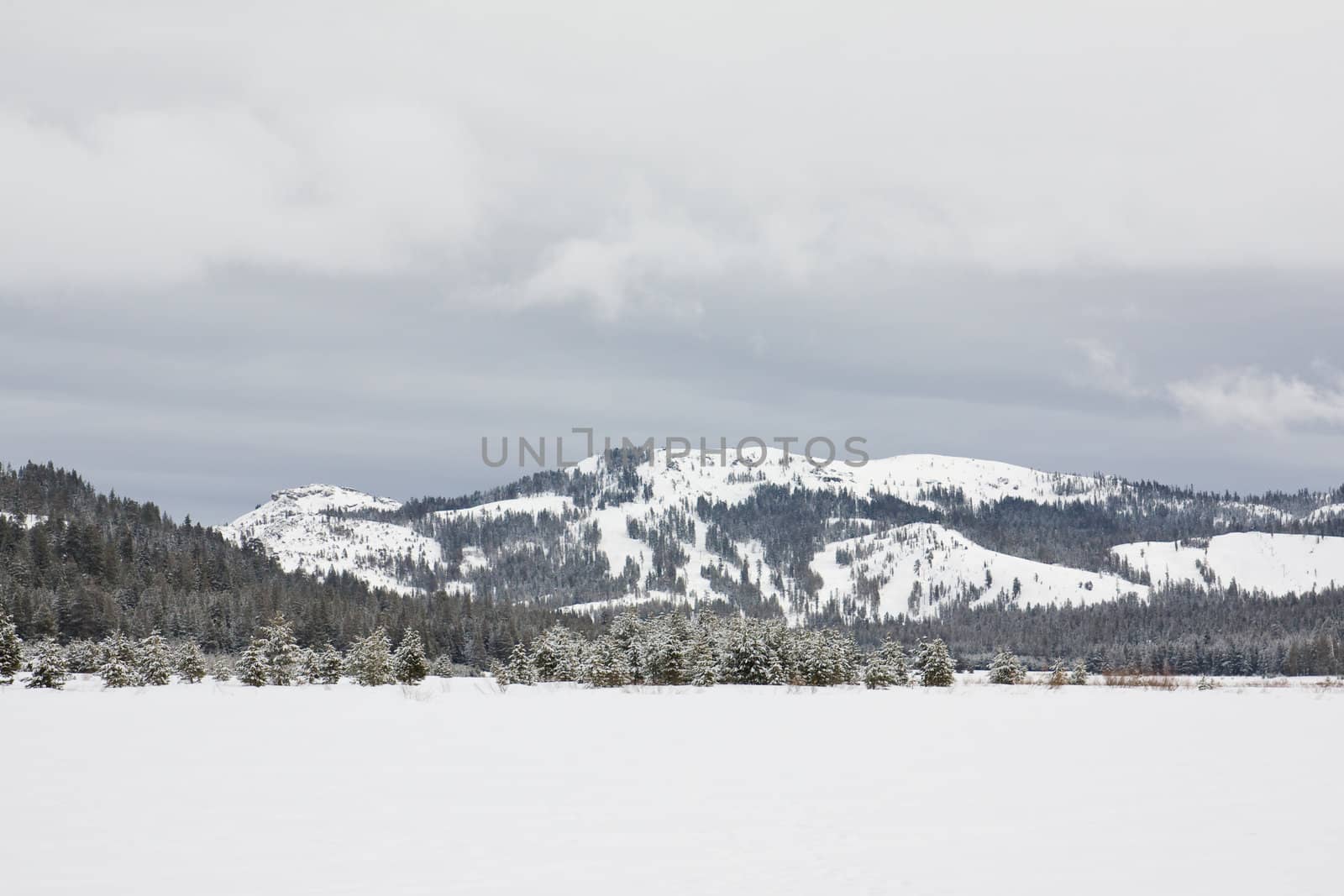 Winter landscape by Kenishirotie
