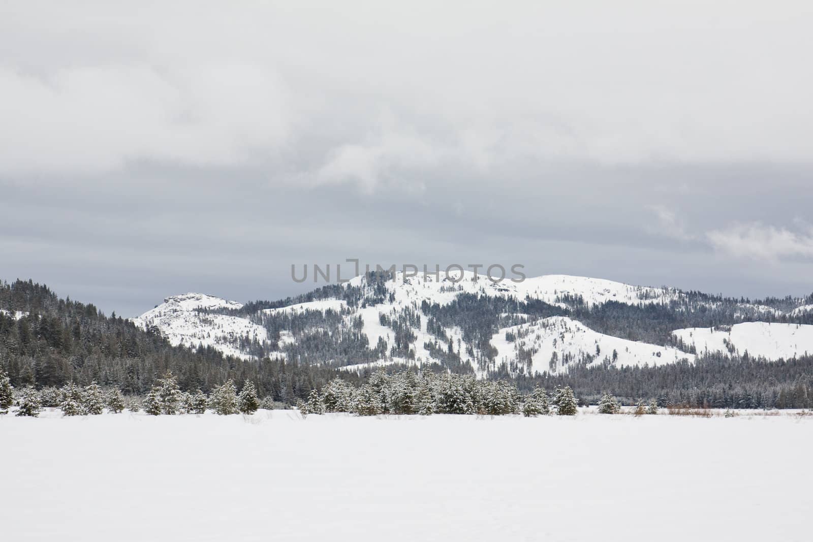 Snowy winter landscape at Lake Tahoe, California