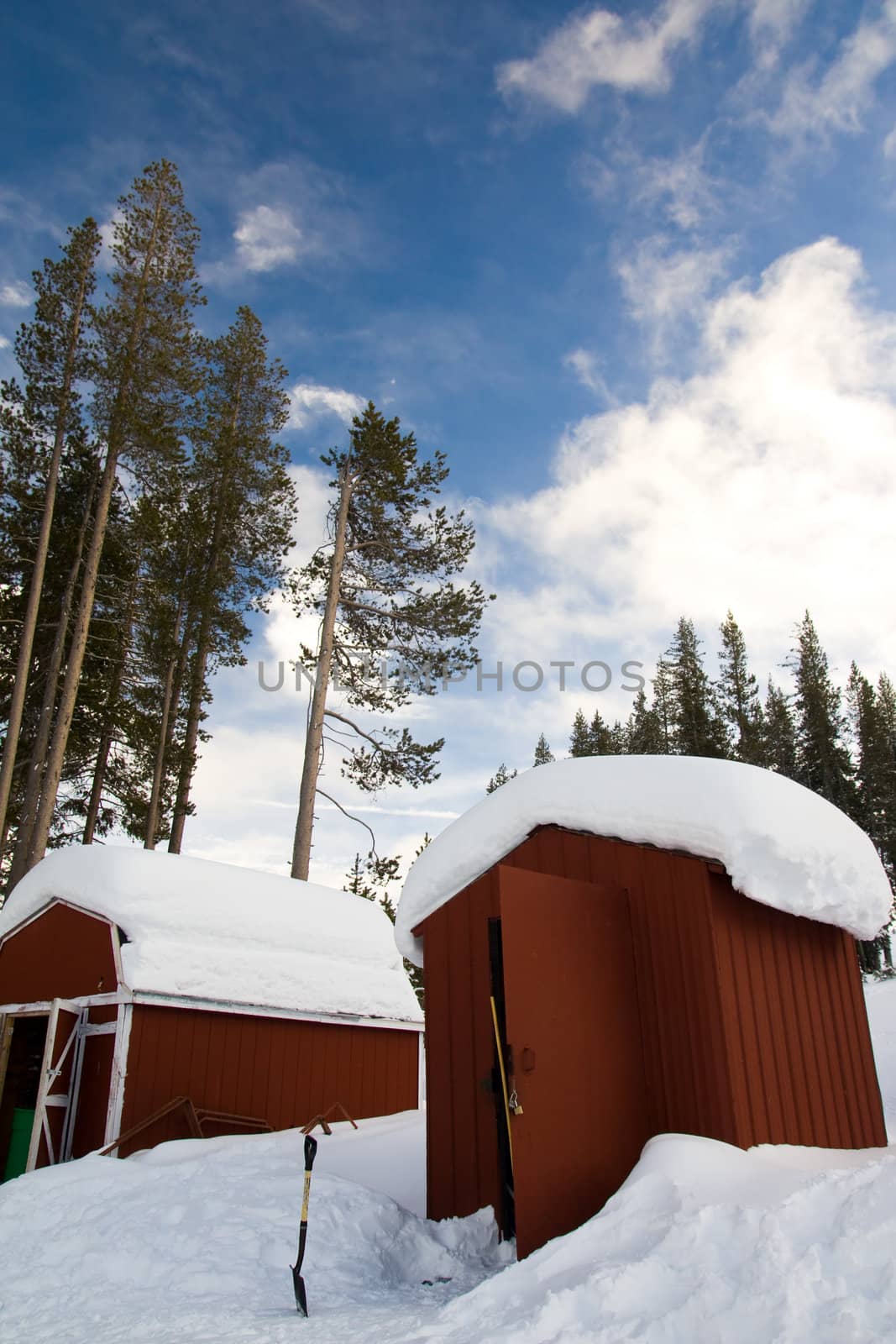 Winter landscape with small wooden sheds and pine trees
