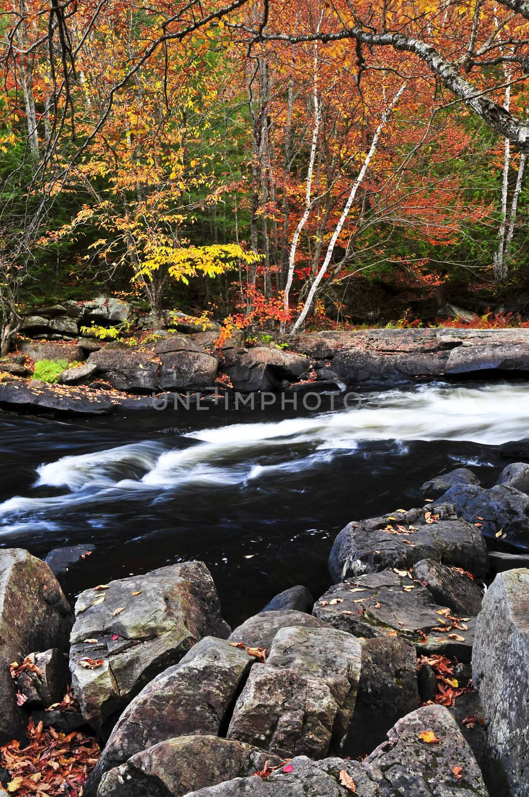 Fall forest and river landscape by elenathewise