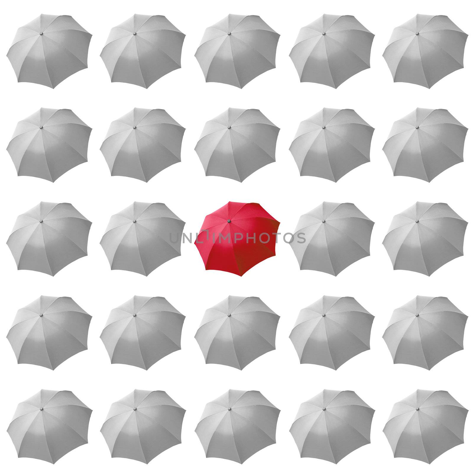 Single red umbrella among many white umbrellas