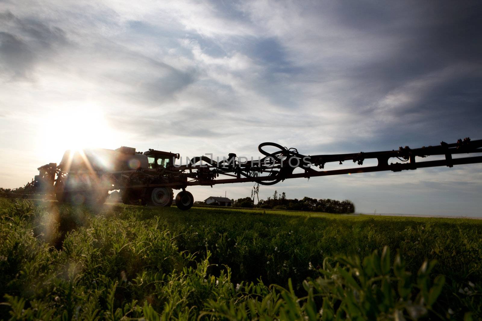 A silhouette of a high clearance sprayer on a field with solar flare.