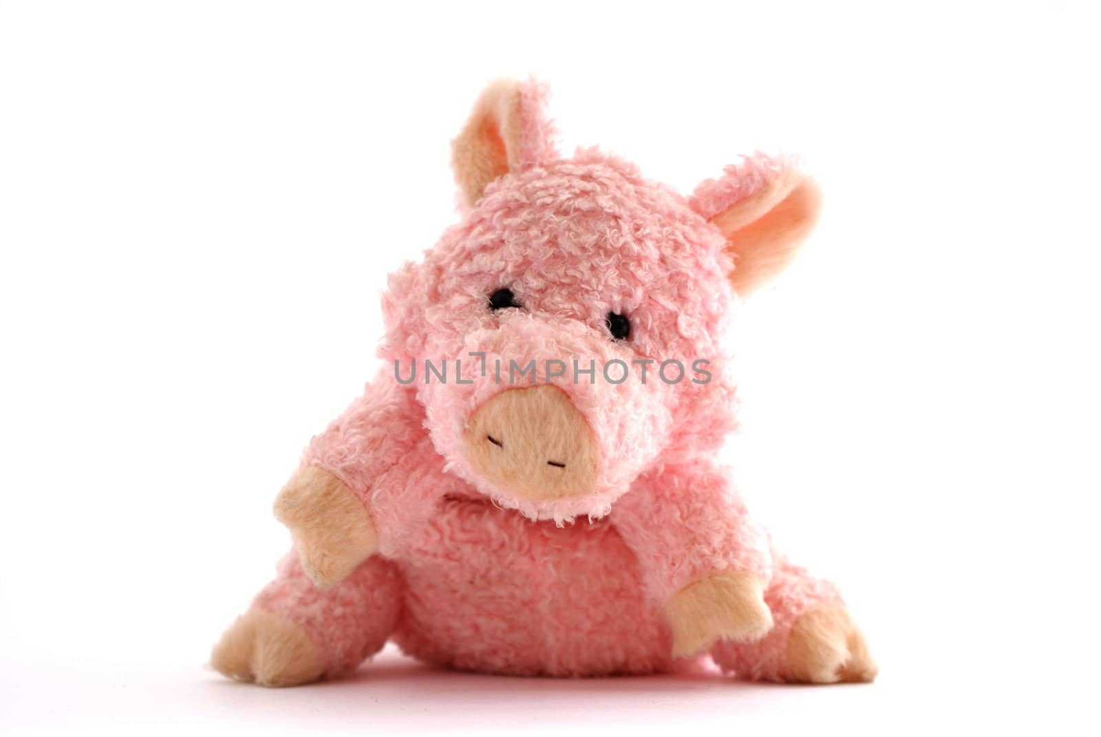 pink stuffed piglet isolated against white background