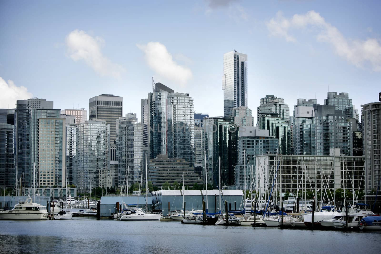 View from Sanley park at Vancouver downtown with Marina