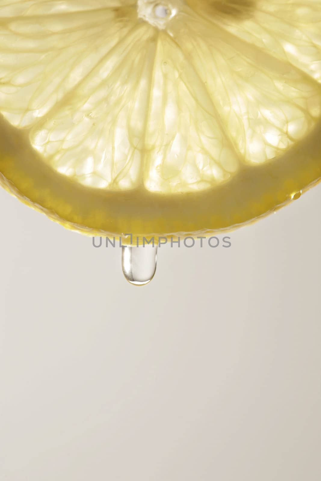 detail of lemon slice with juice drop