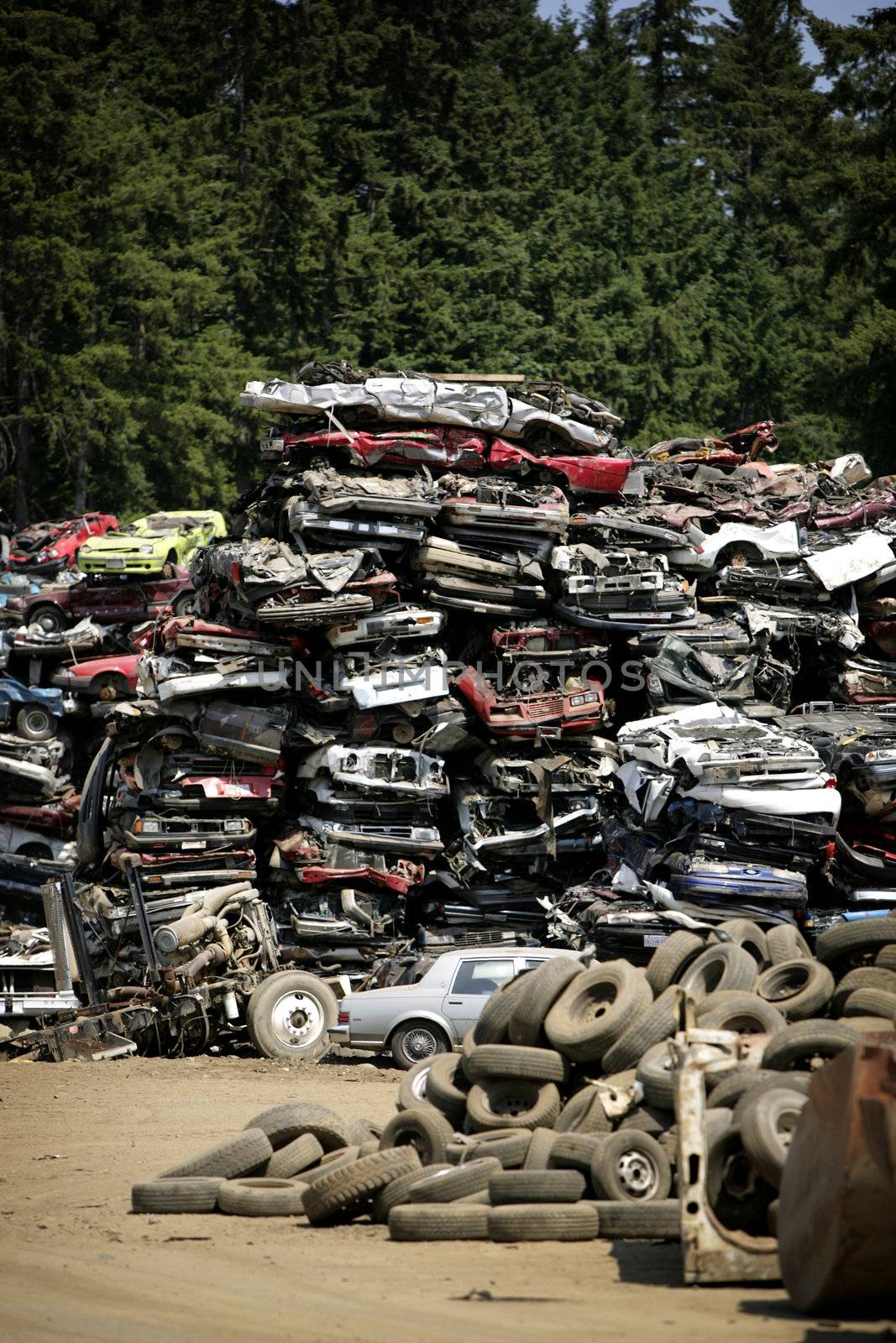 big pile of flatened cars on a wreck yard