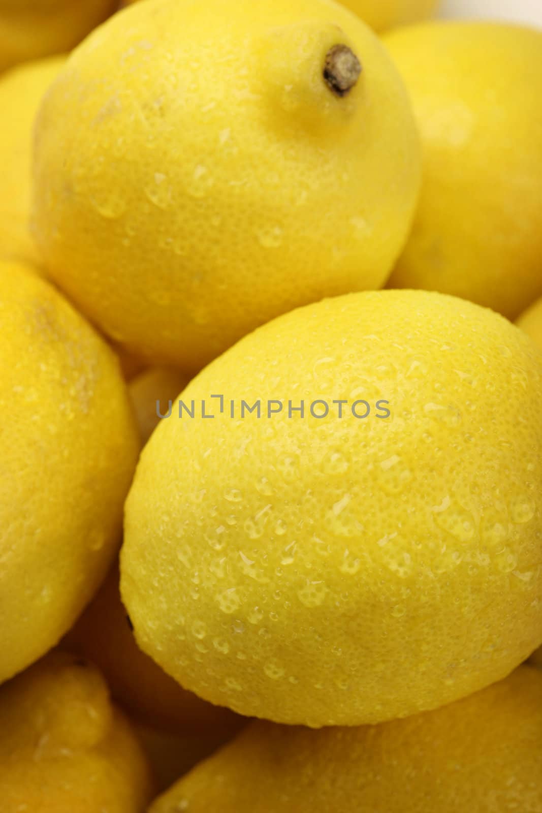 Lemon by RainerPlendl