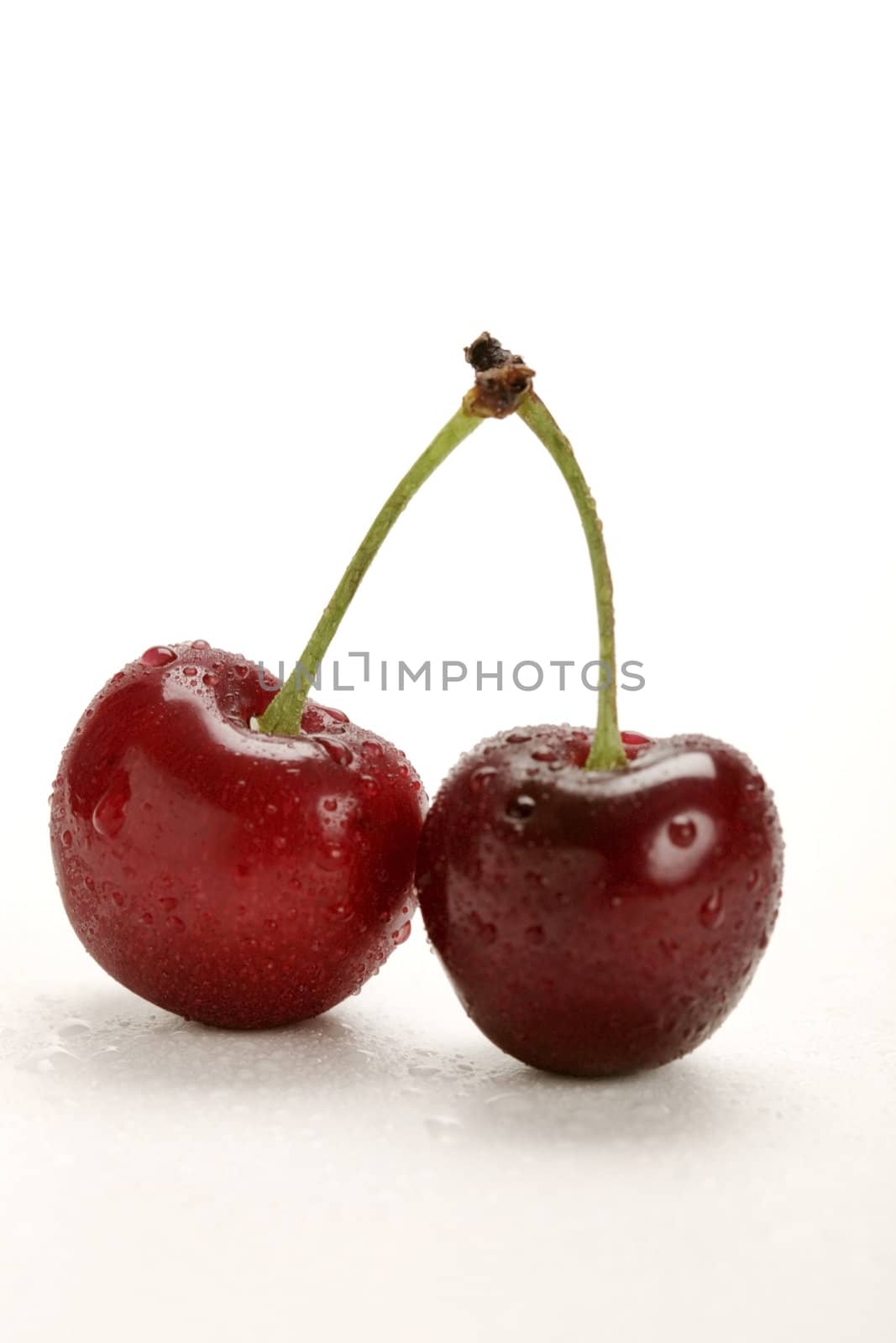 cherry by RainerPlendl