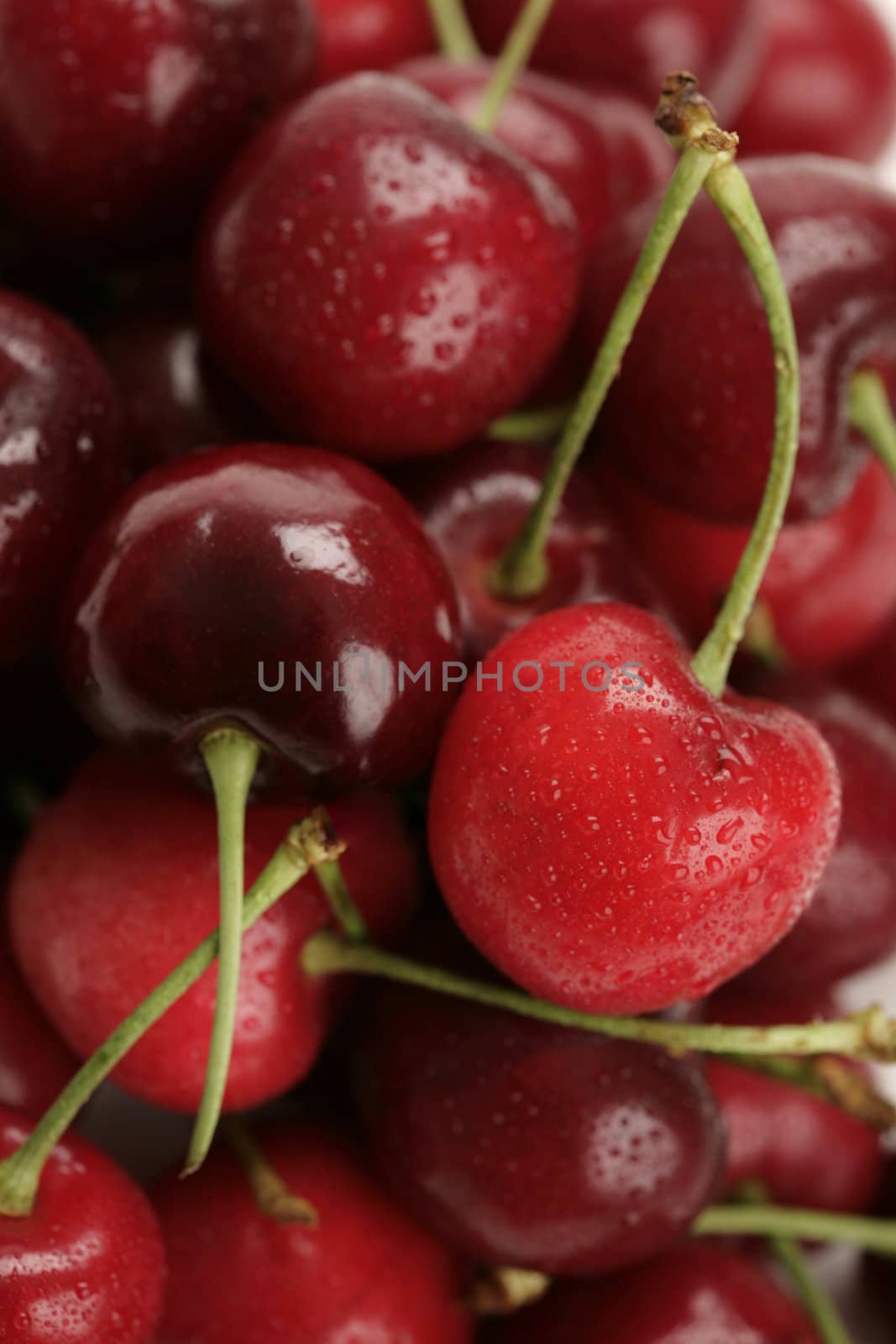 cherries by RainerPlendl