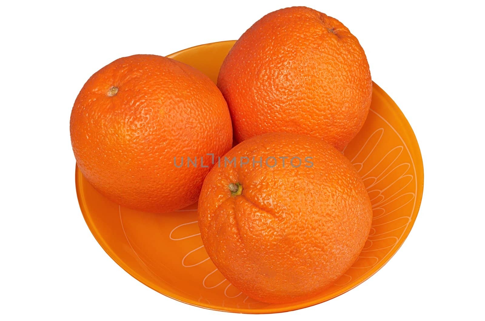 Oranges in a plate on a white background