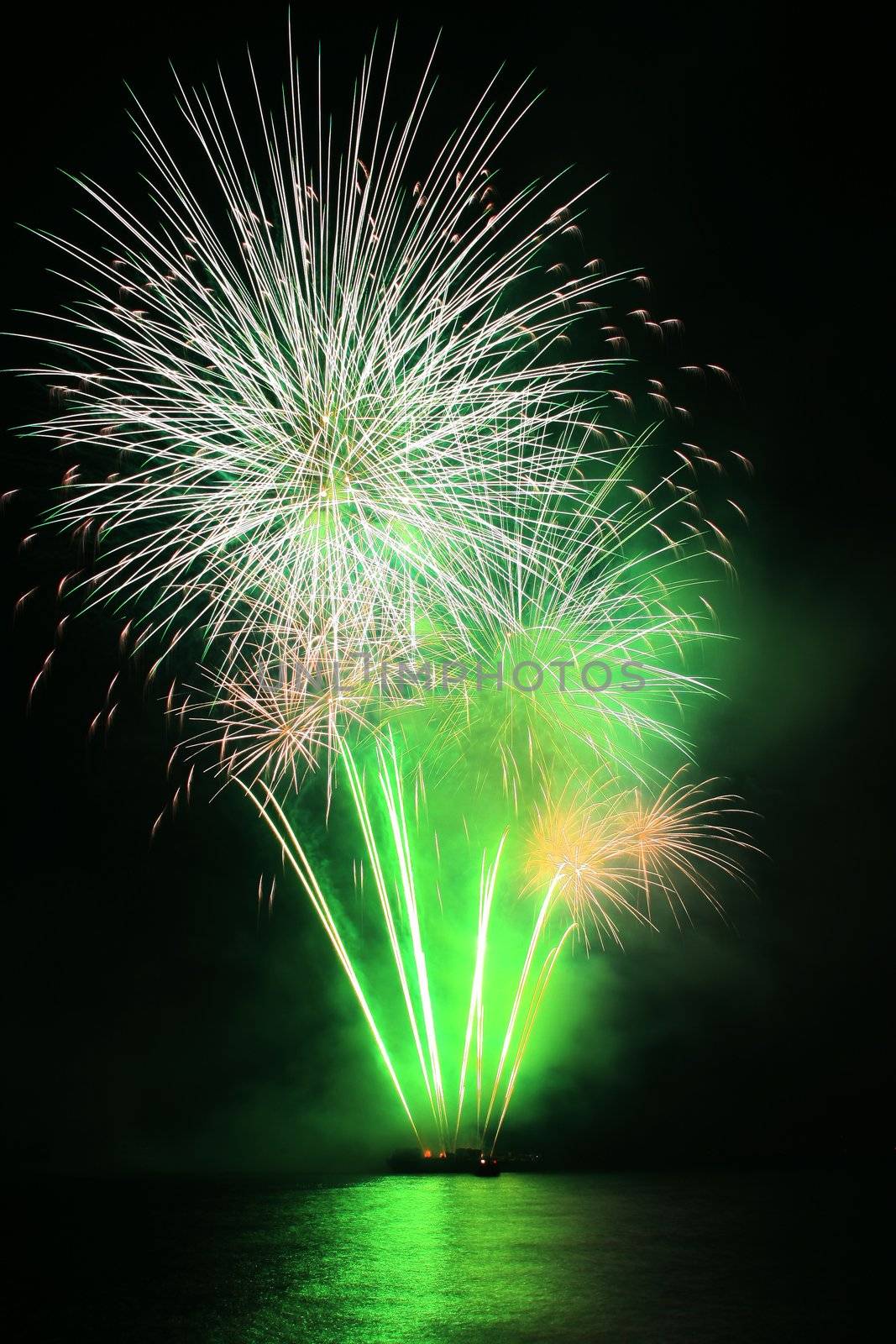 green dandelion fireworks by jonasbsl