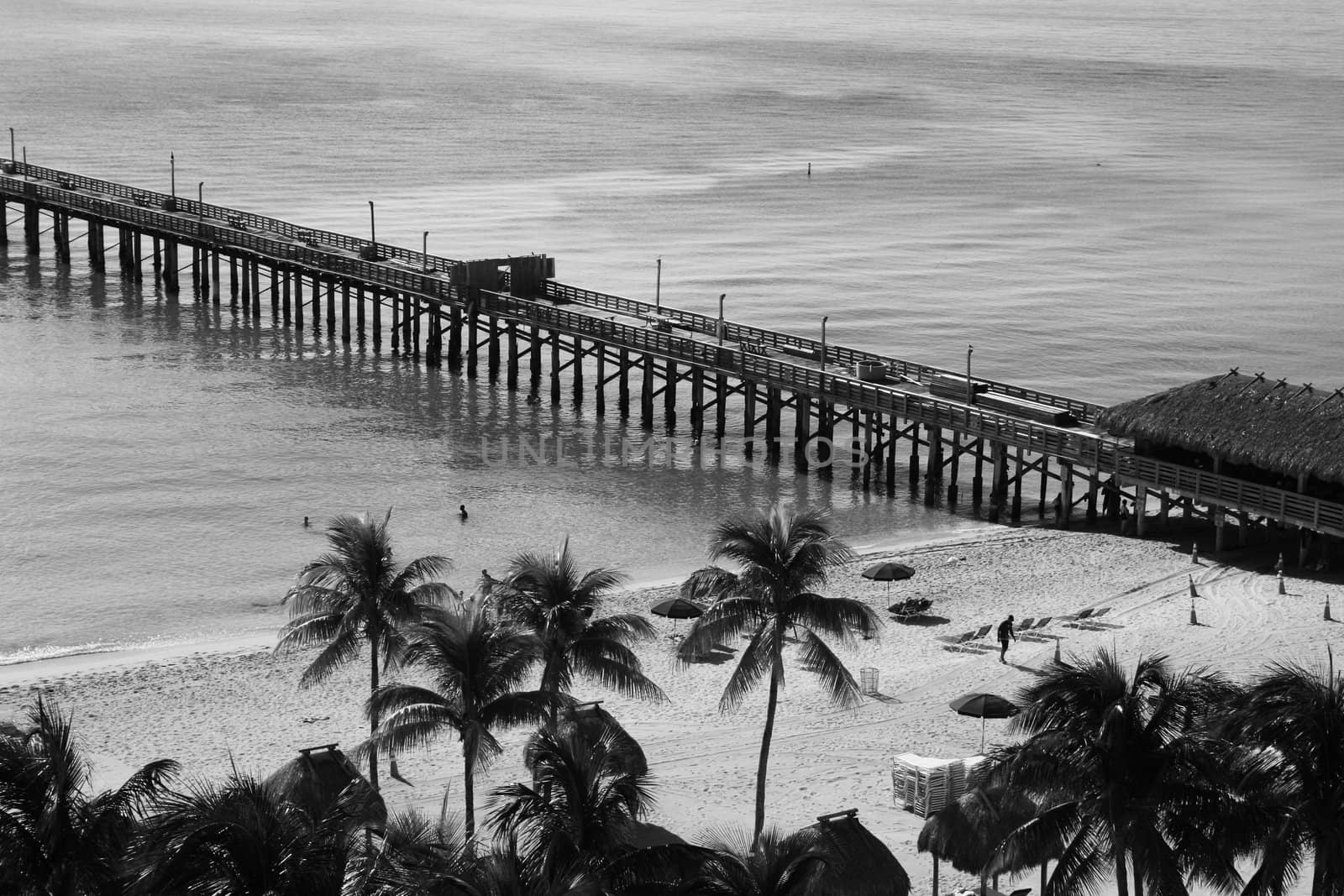 Beach Area by MichaelFelix