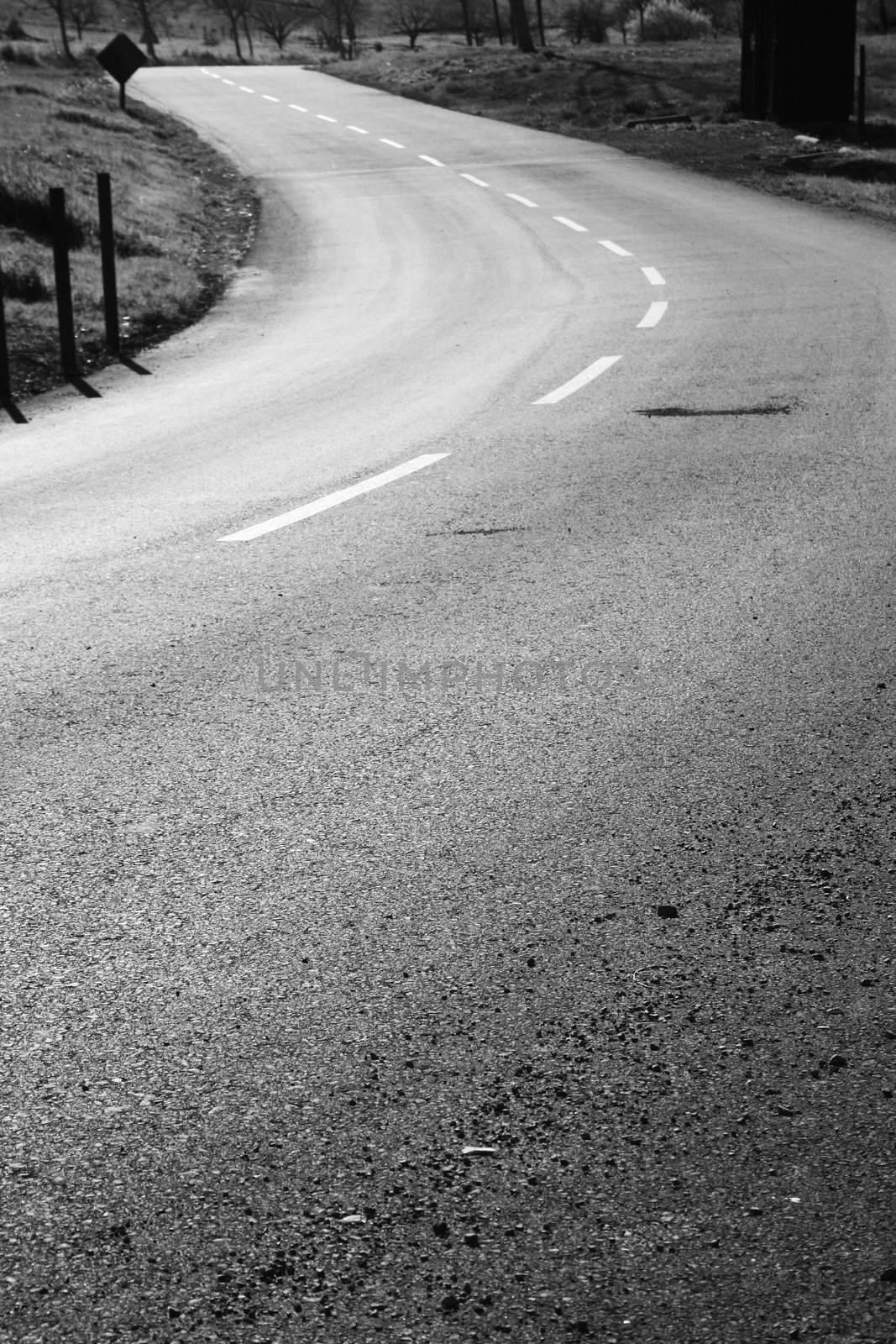 Winding road in a park on a sunny day.