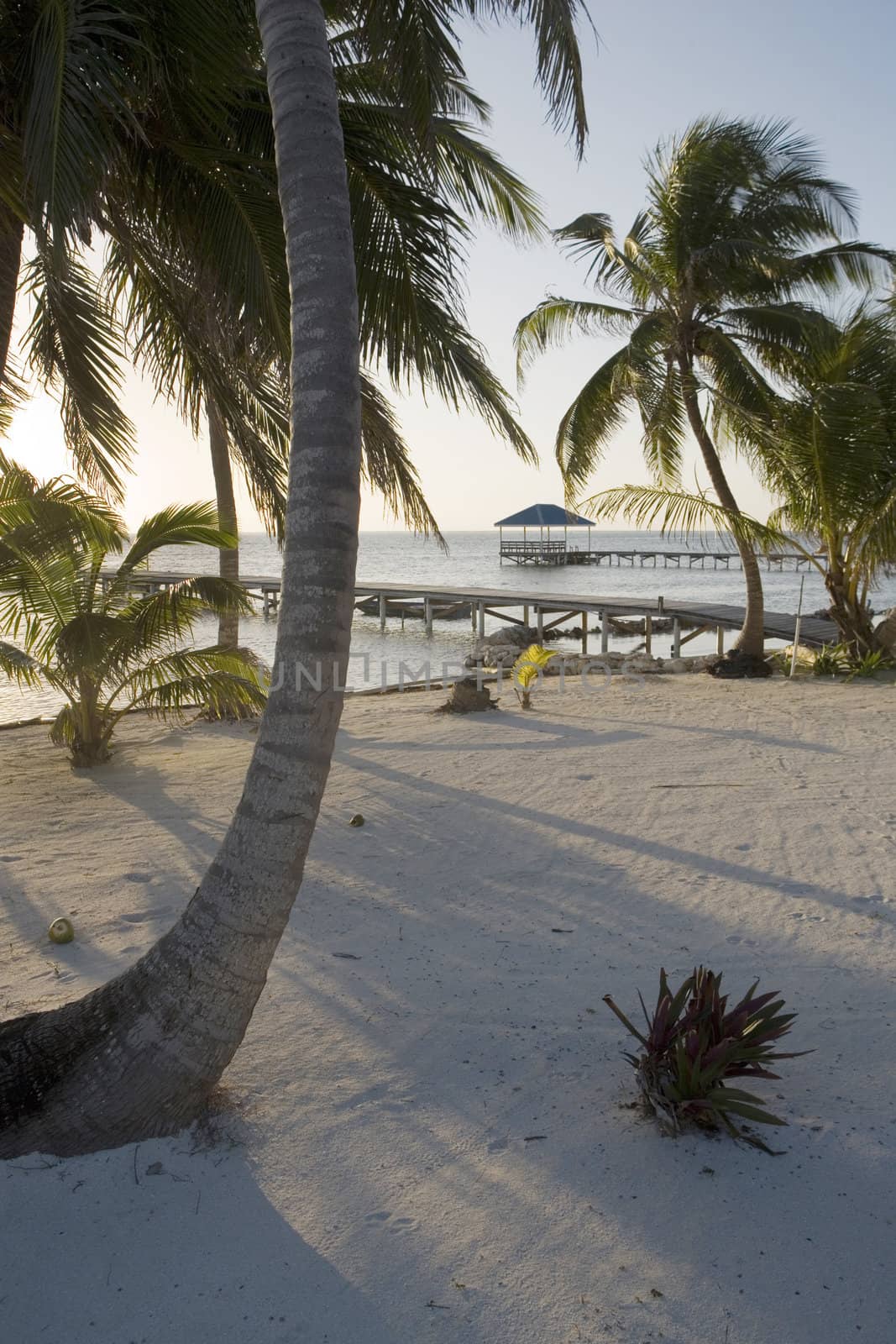 Palm trees and wooden piers along a beautiful beach in the Gulf of Mexico at sunset.