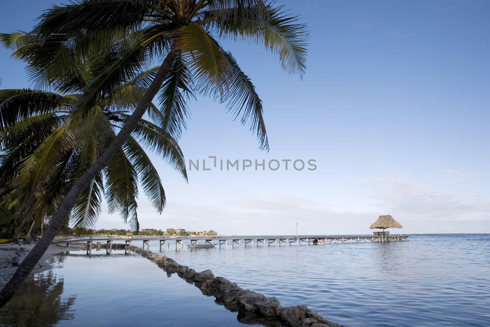 Palm trees line the quiet shore of a small tropical island off the coast of Belize.