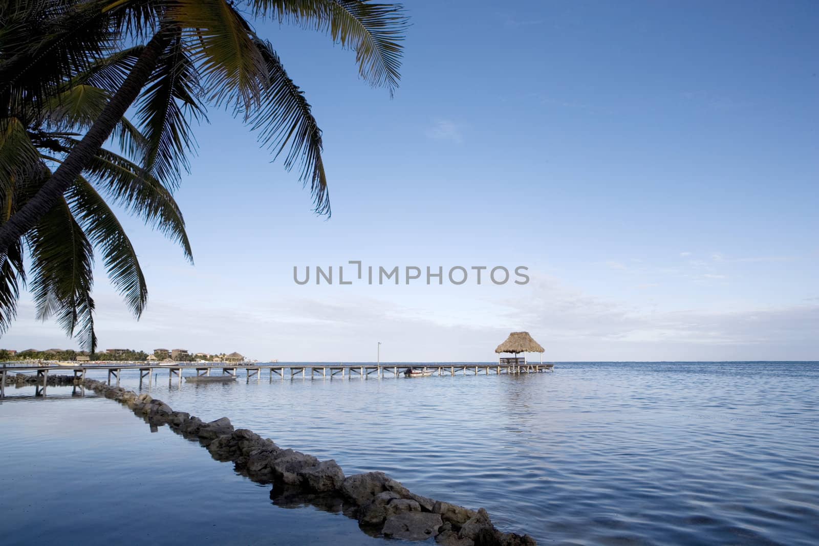 Palm trees line the quiet shore of a small tropical island off the coast of Belize.