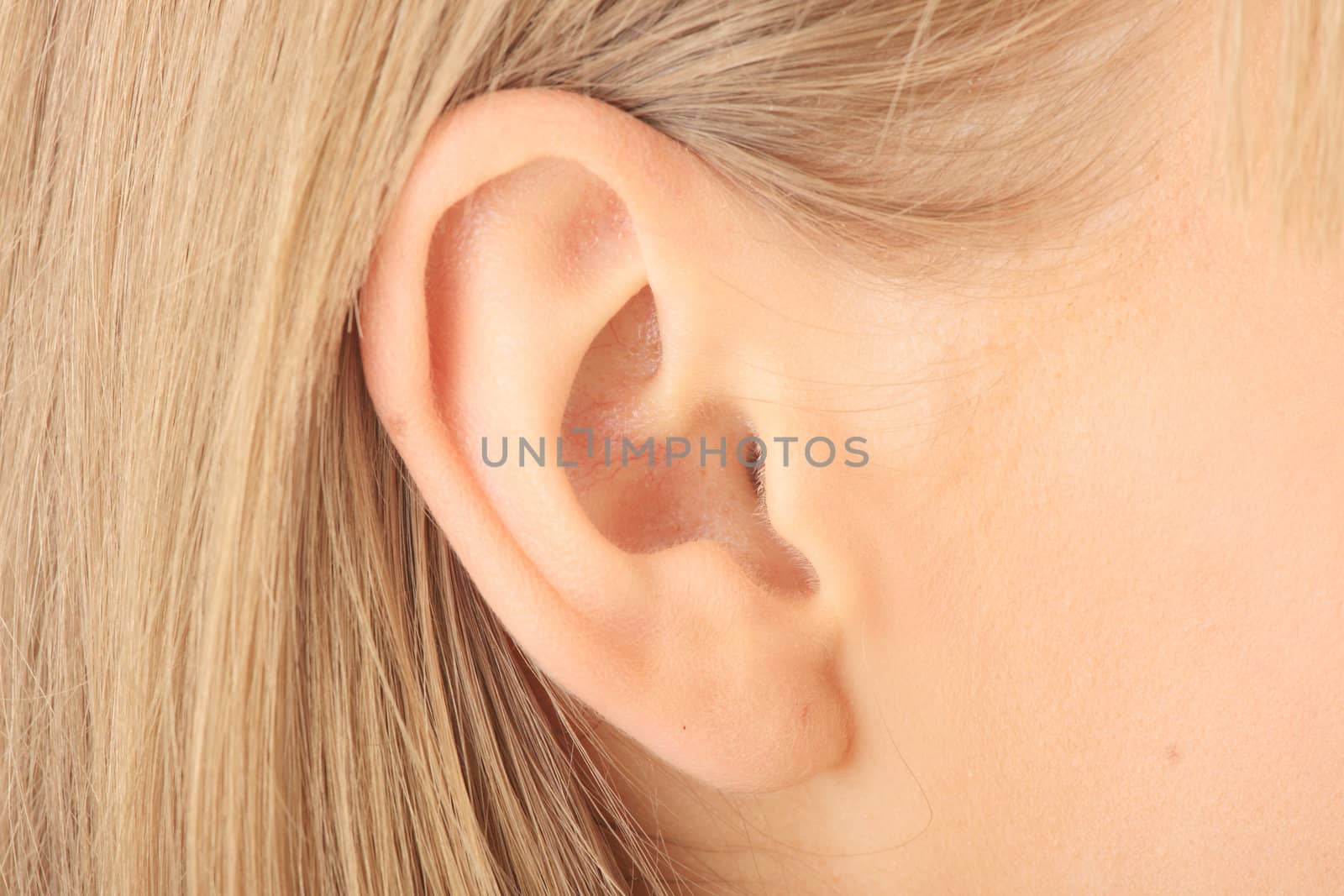 Color closeup picture of blond girl ear