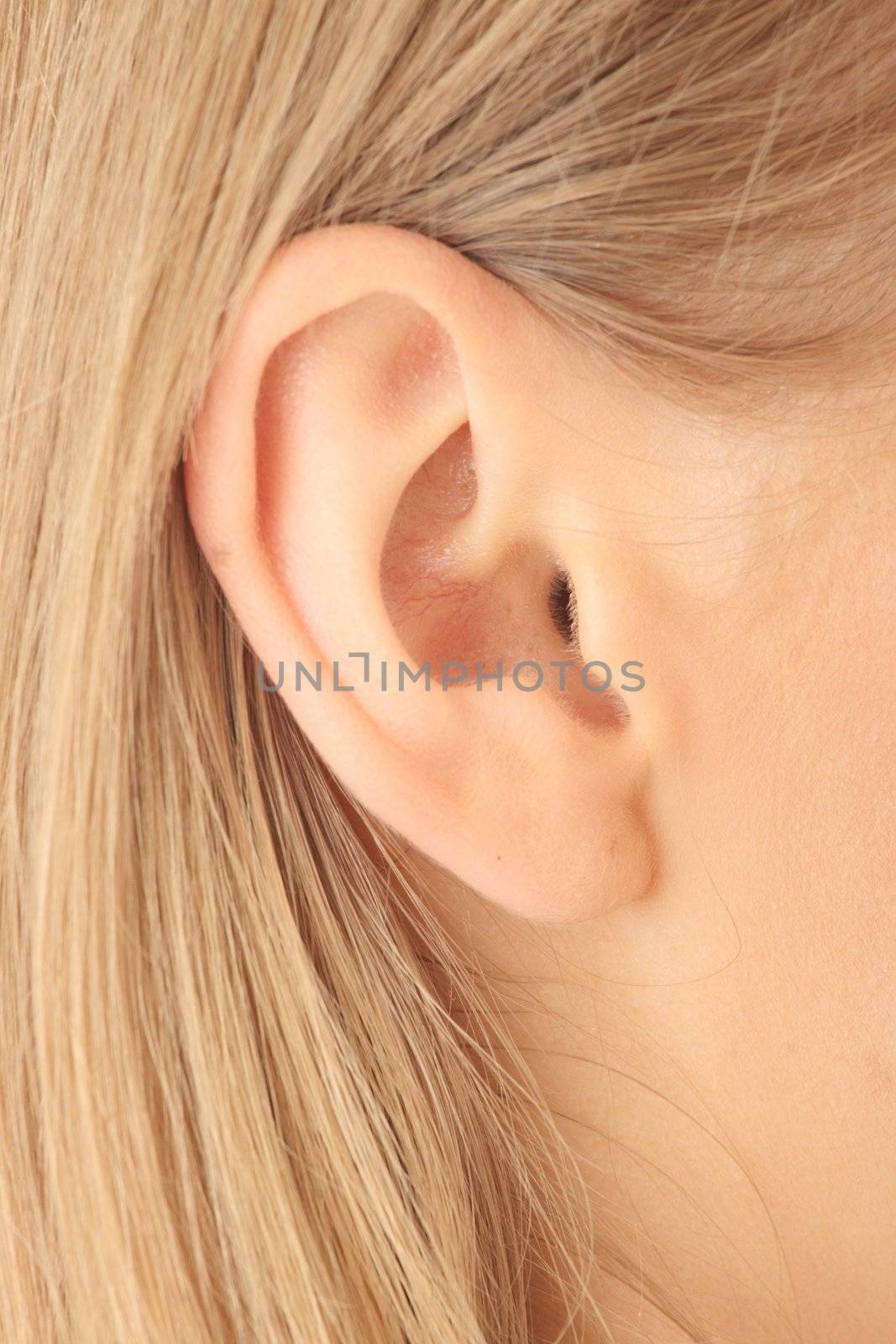 Color closeup picture of blond girl ear